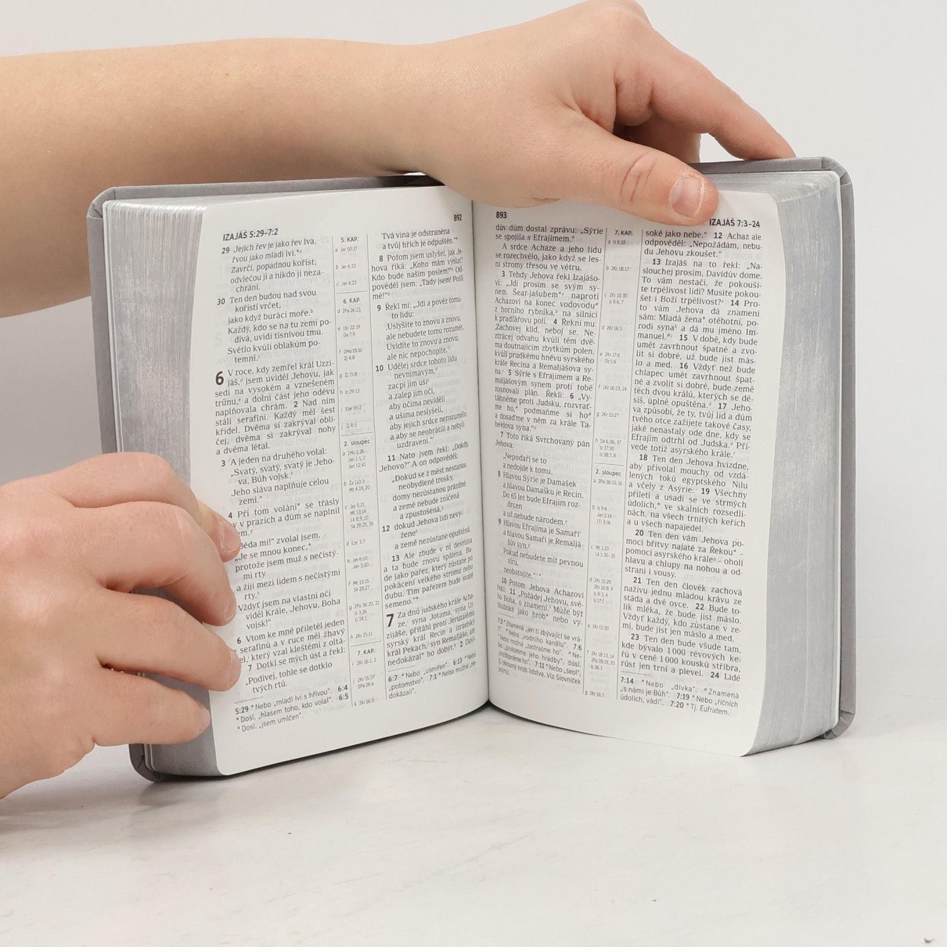 Autorenkollektiv Bible: překlad nového světa