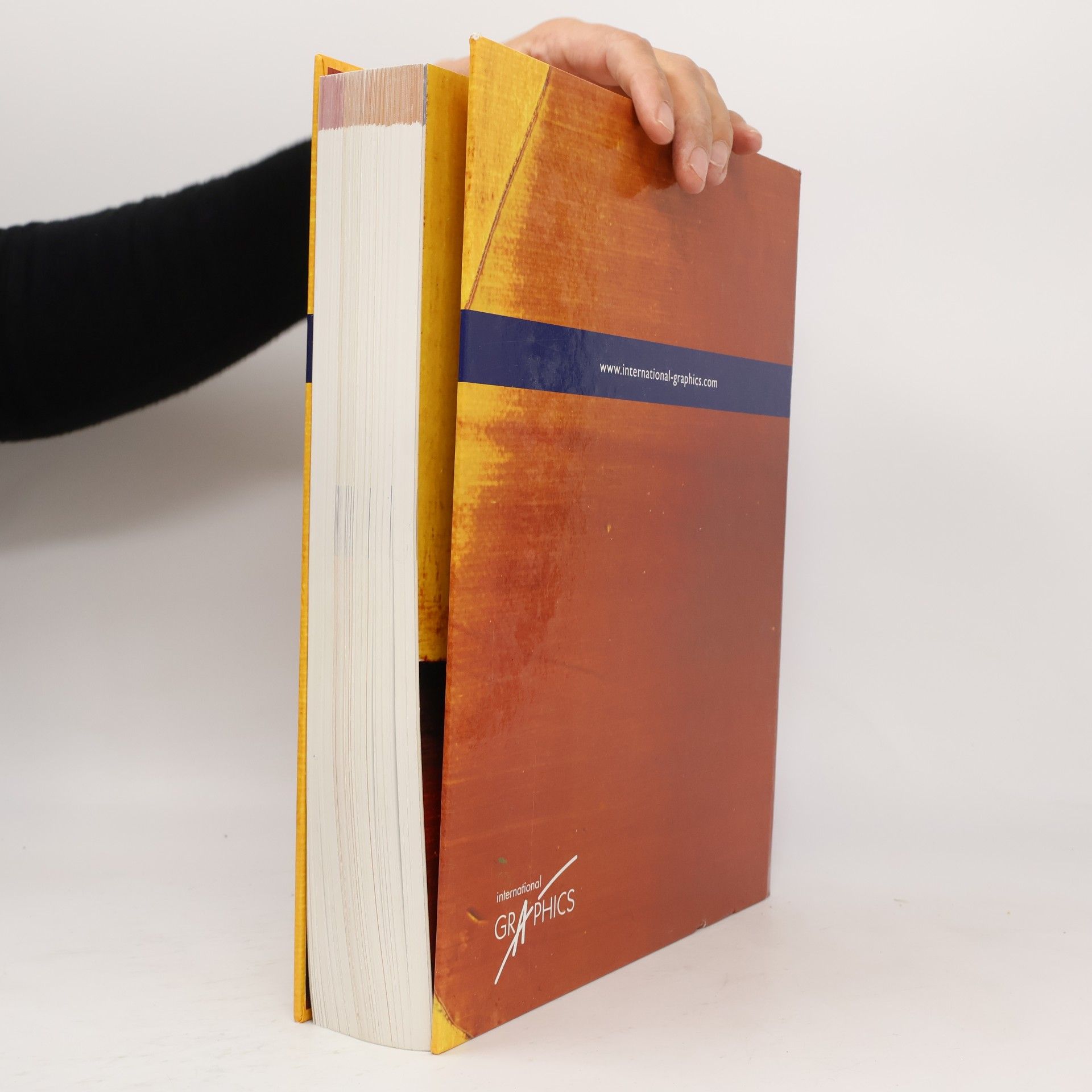 Thierry Ona The Fine Arts Collection 2004