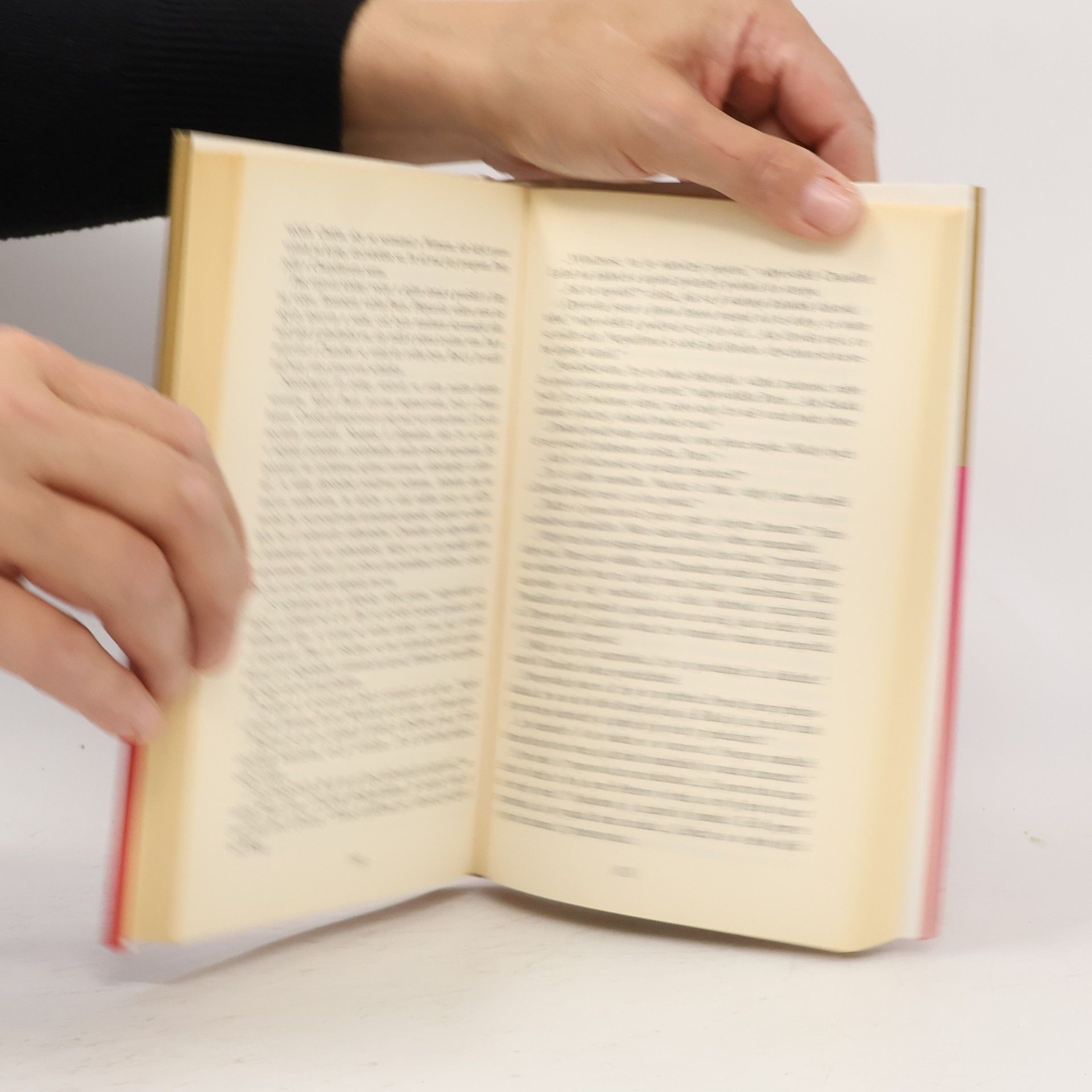 Danielle Steel Správná volba