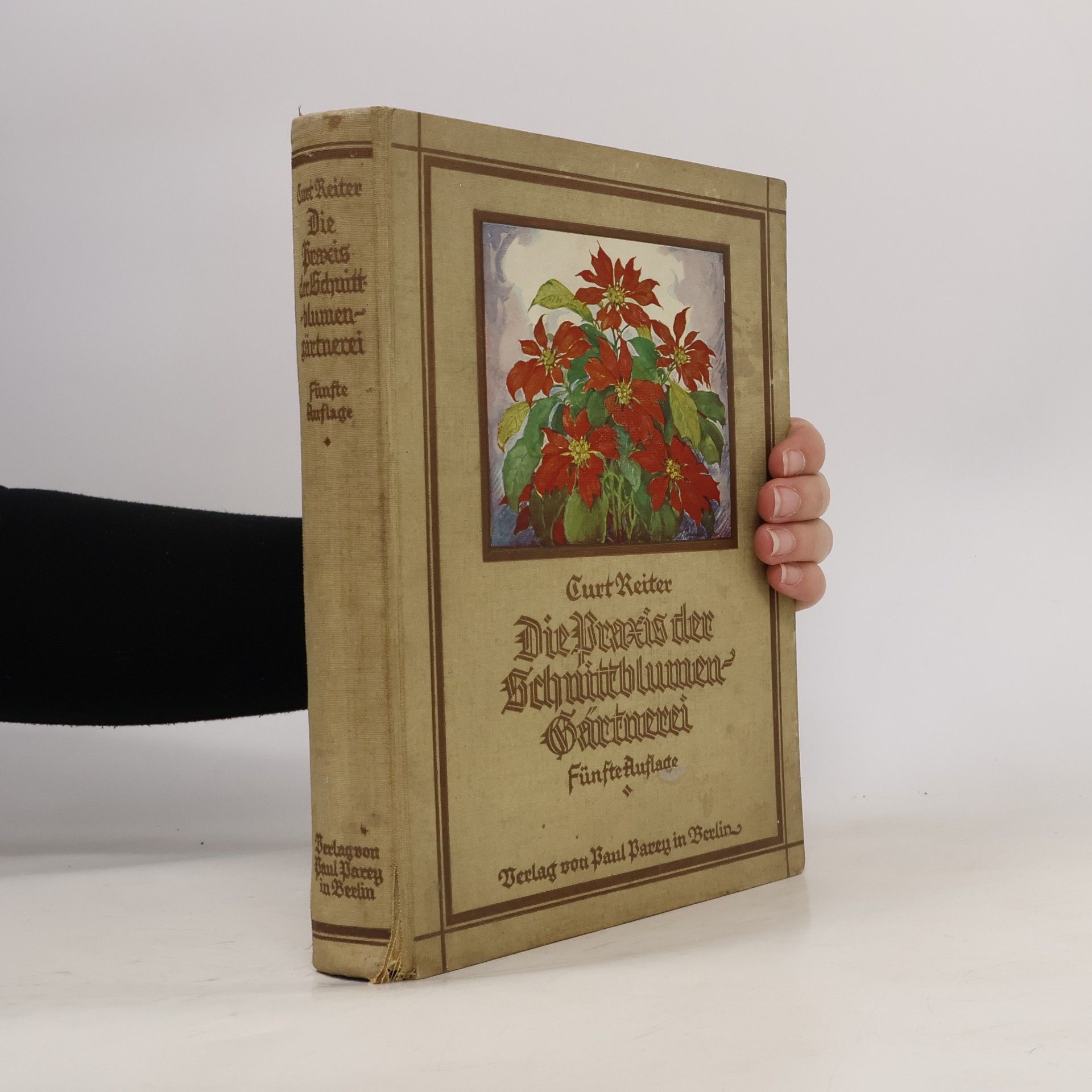 Die Praxis der Schnittblumen-Gärtnerei