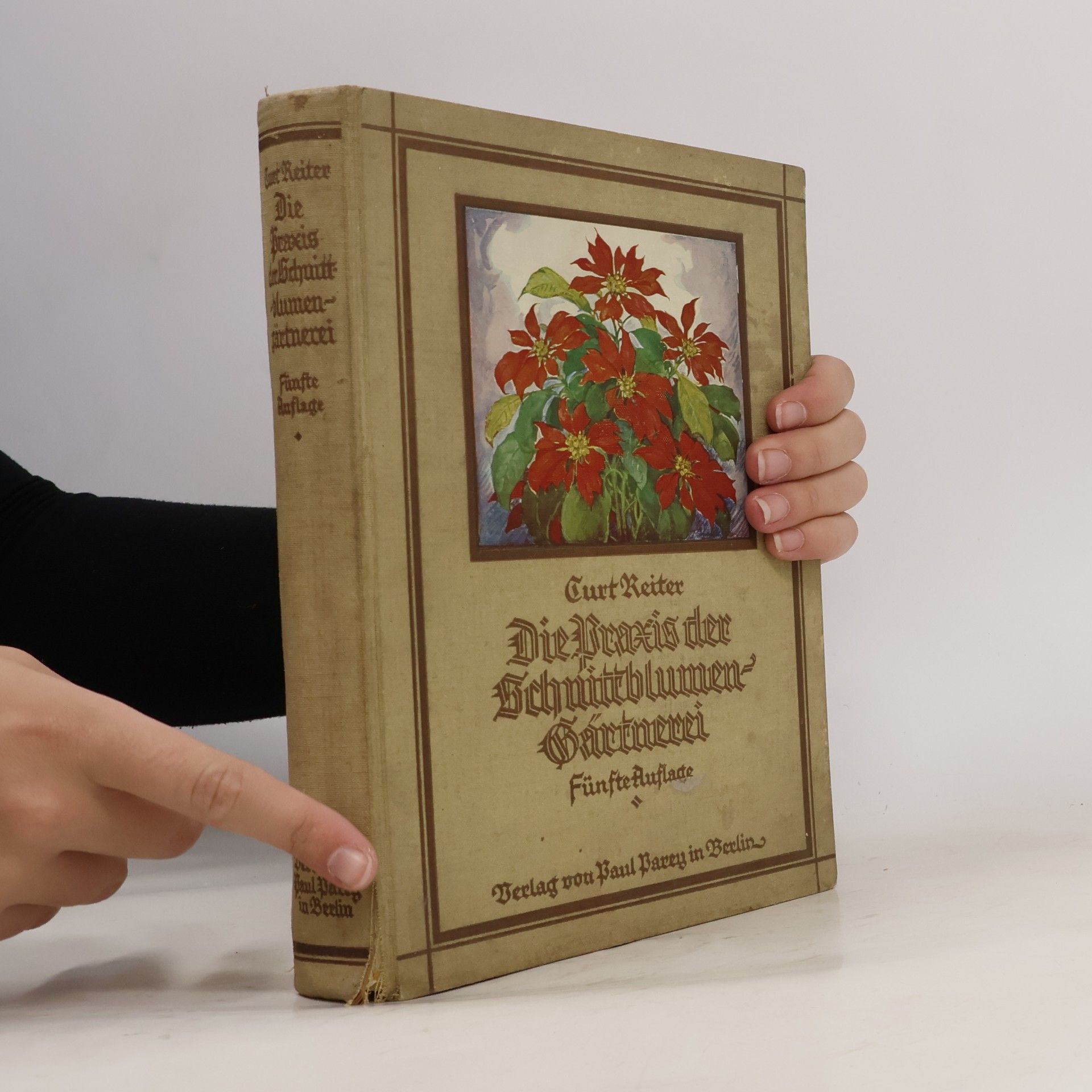 Curt Reiter Die Praxis der Schnittblumen-Gärtnerei