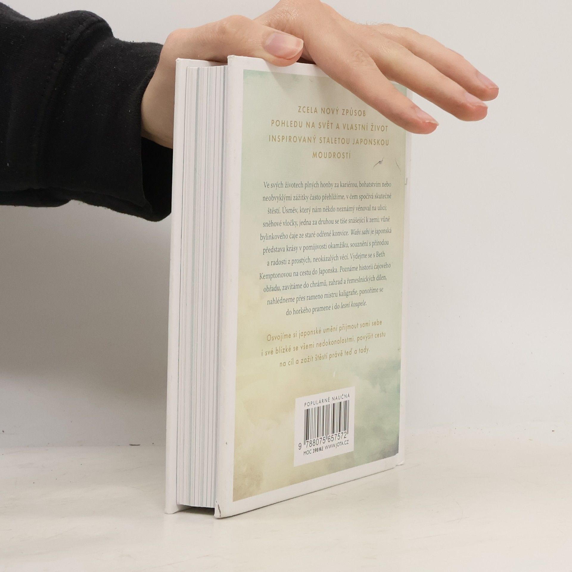 Beth Kempton Wabi sabi : Japonská moudrost pro dokonale nedokonalý život