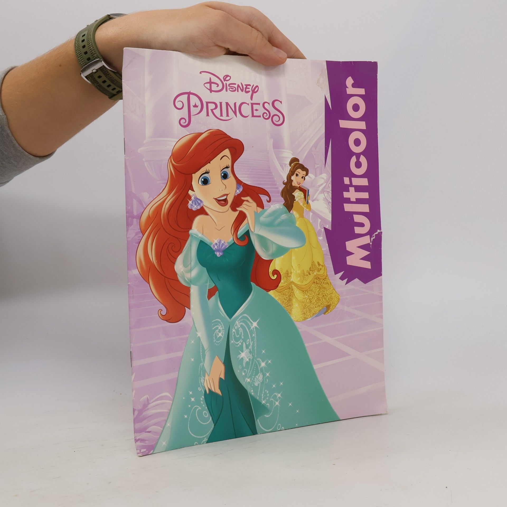 Collectif d'auteurs Disney Princess