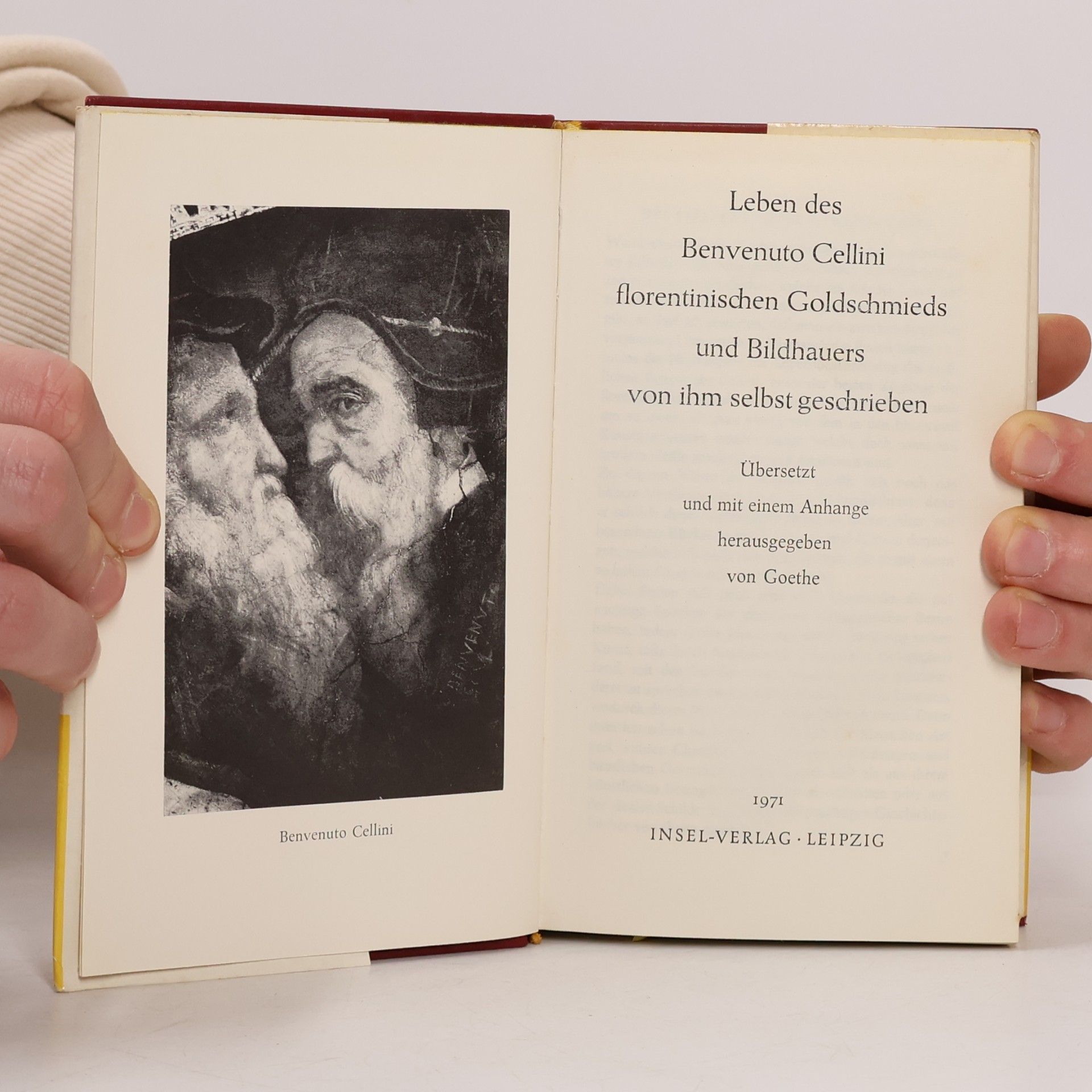 Johann Wolfgang von Goethe Leben des Benvenuto Cellini