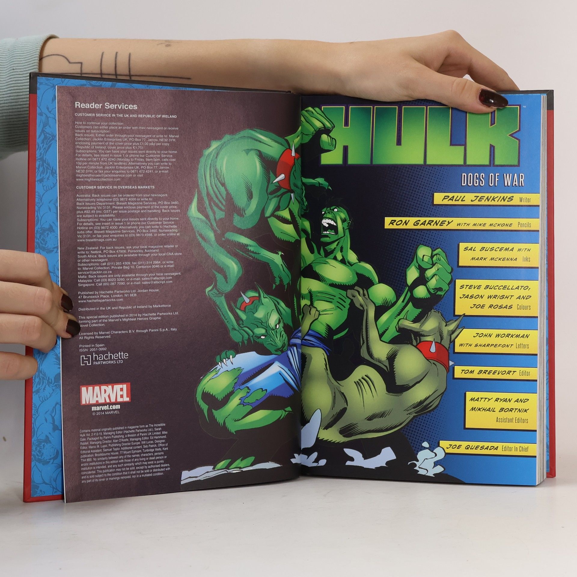 Paul Jenkins The Hulk