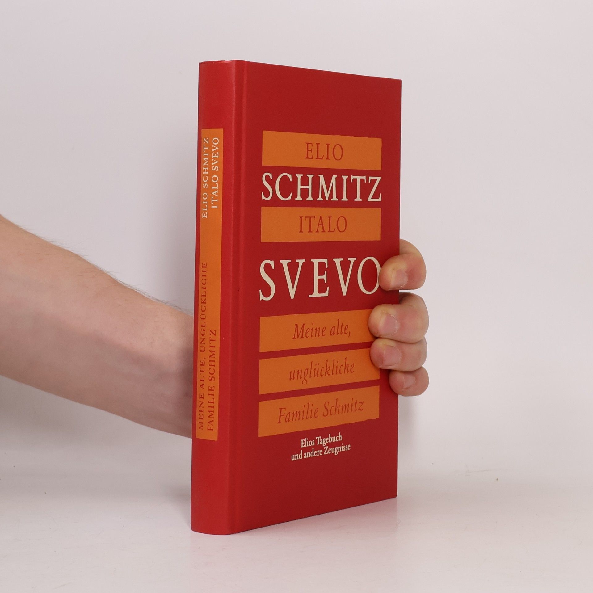 Meine alte, unglückliche Familie Schmitz