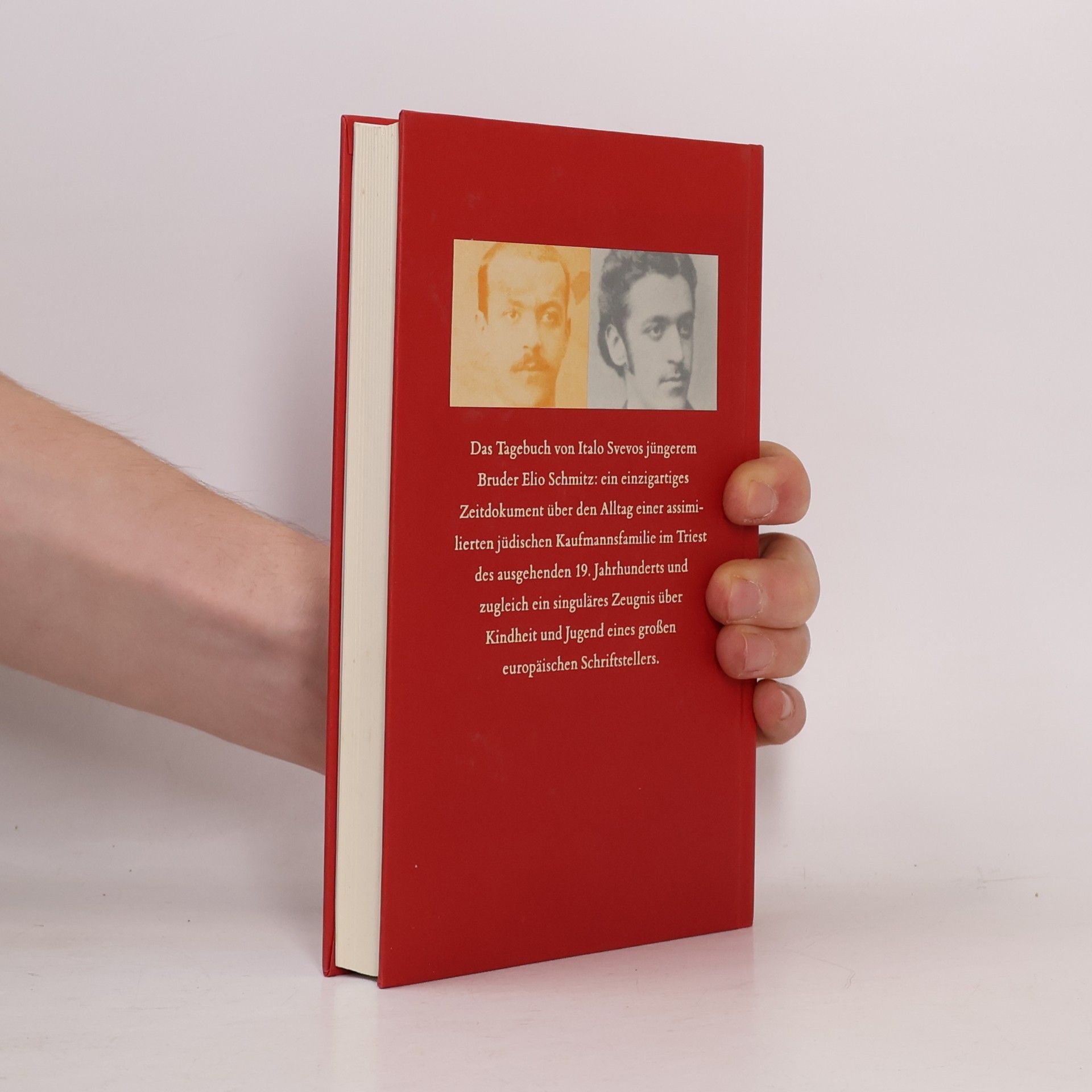 Italo Svevo Meine alte, unglückliche Familie Schmitz