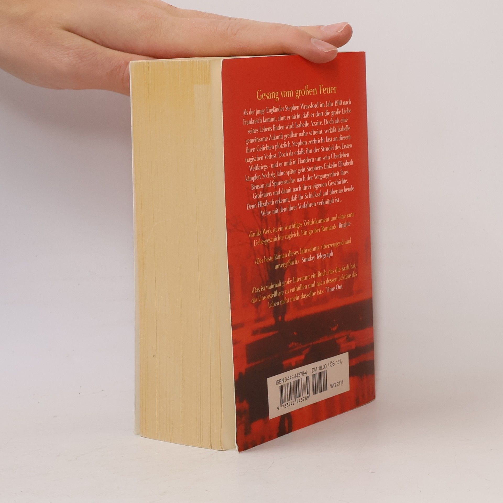 Sebastian Faulks Gesang vom großen Feuer