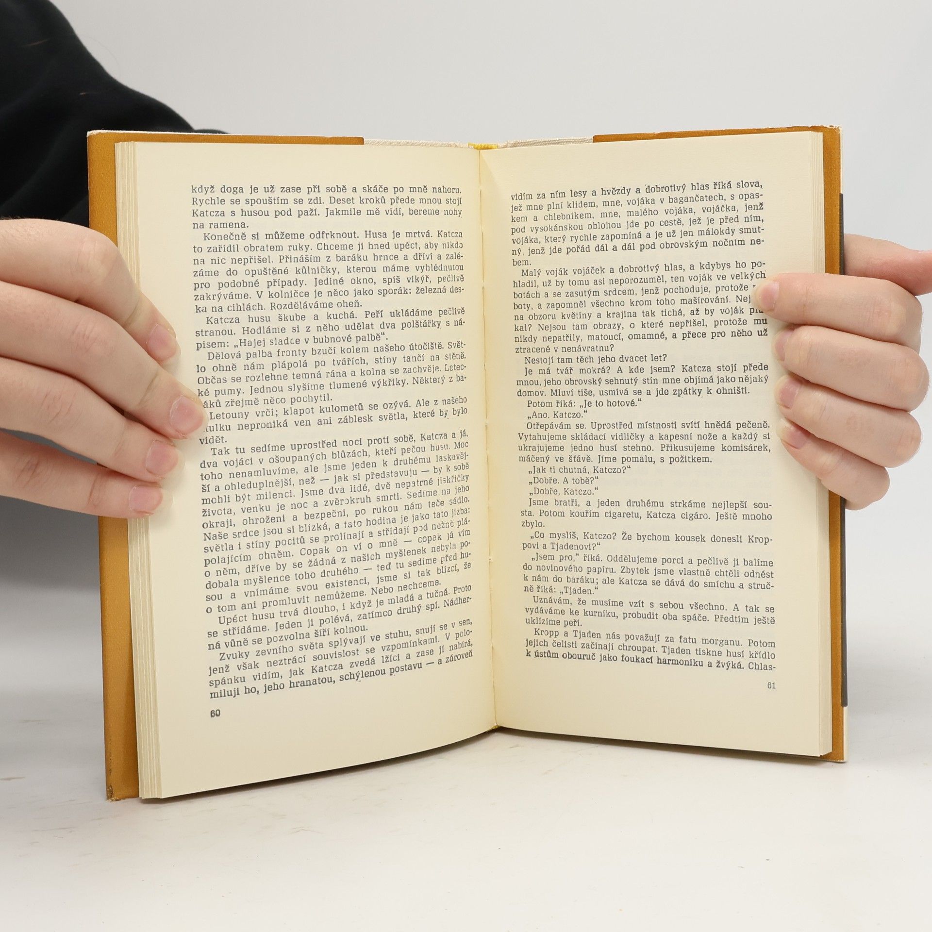 Erich Maria Remarque Na západní frontě klid