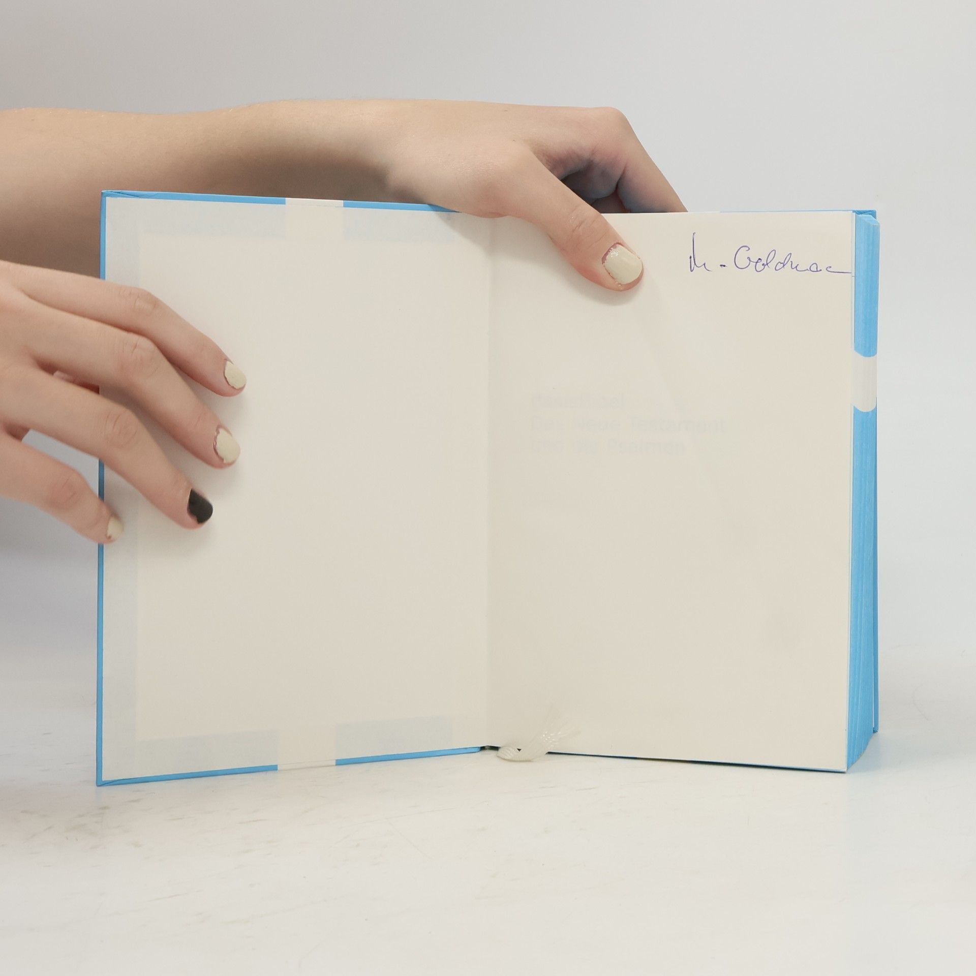 Autorenkollektiv BasisBibel Neues Testament und Psalmen