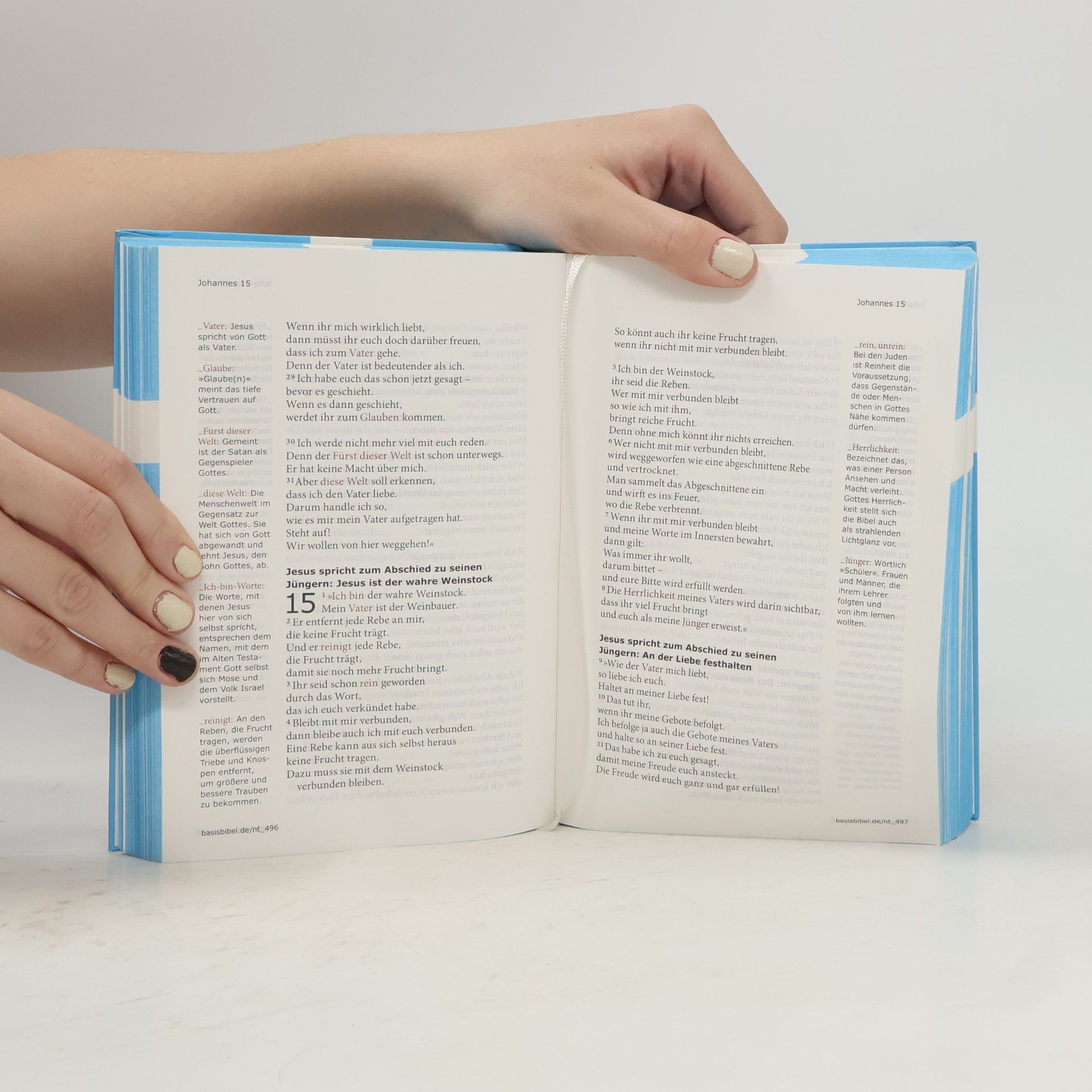Autorenkollektiv BasisBibel Neues Testament und Psalmen