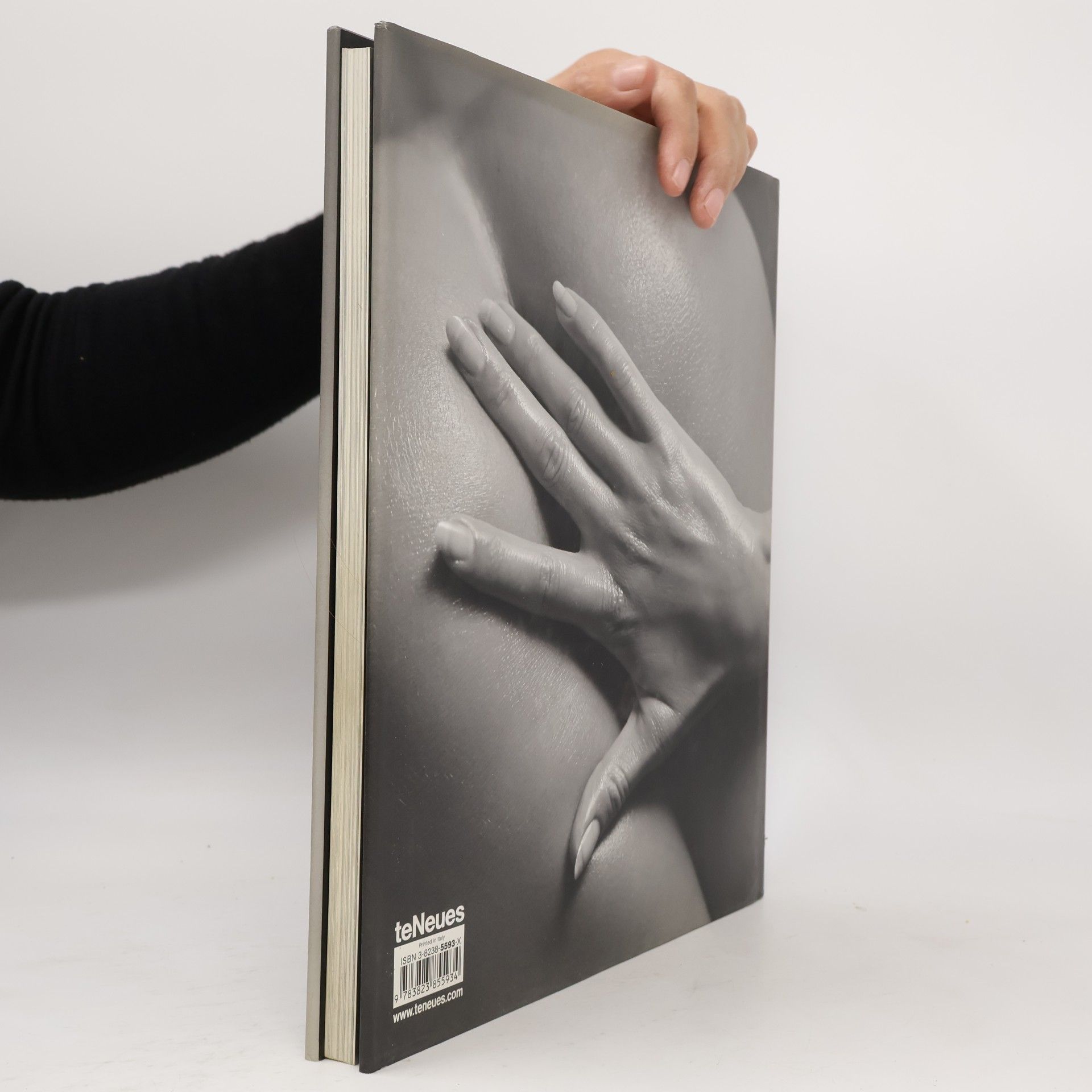 Guido Argentini Silvereye