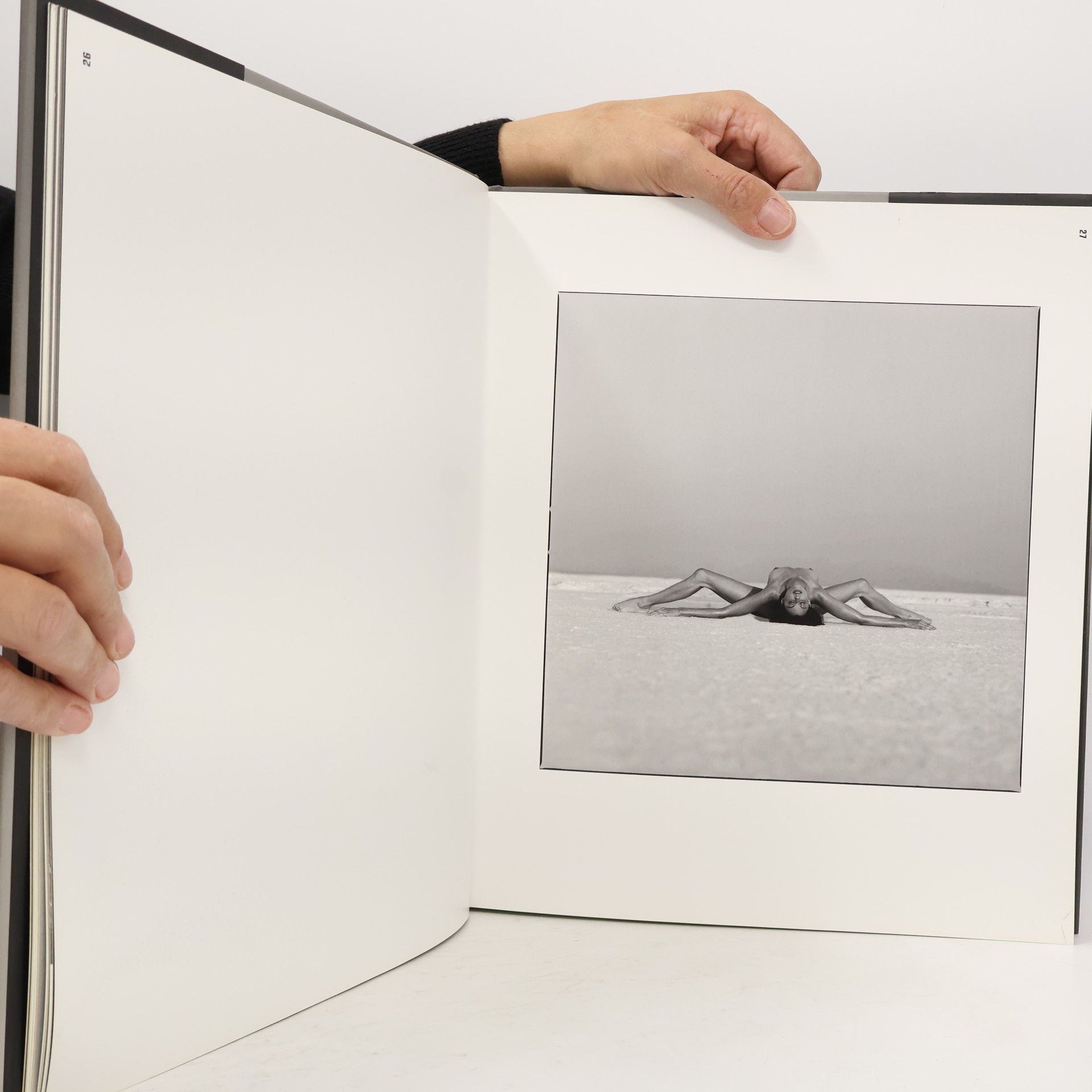Guido Argentini Silvereye