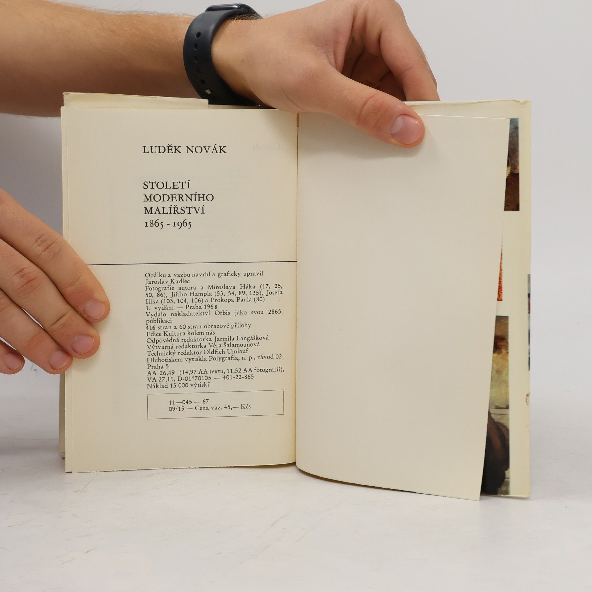 Luděk Novák Století moderního malířství 1865-1965