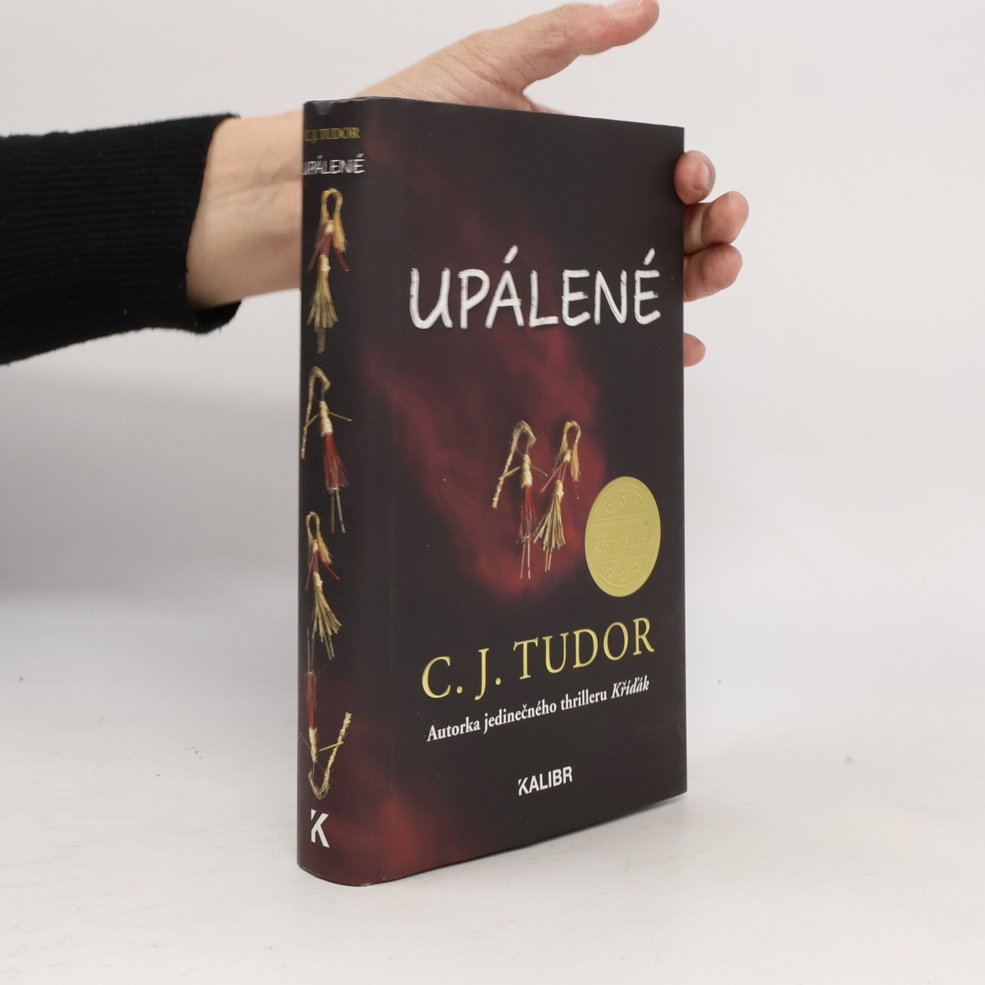 C. J. Tudor Upálené