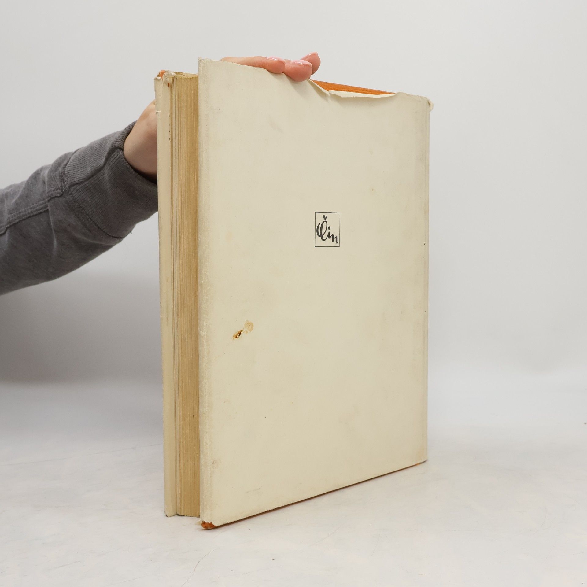 Collectif d'auteurs Věčný Mácha