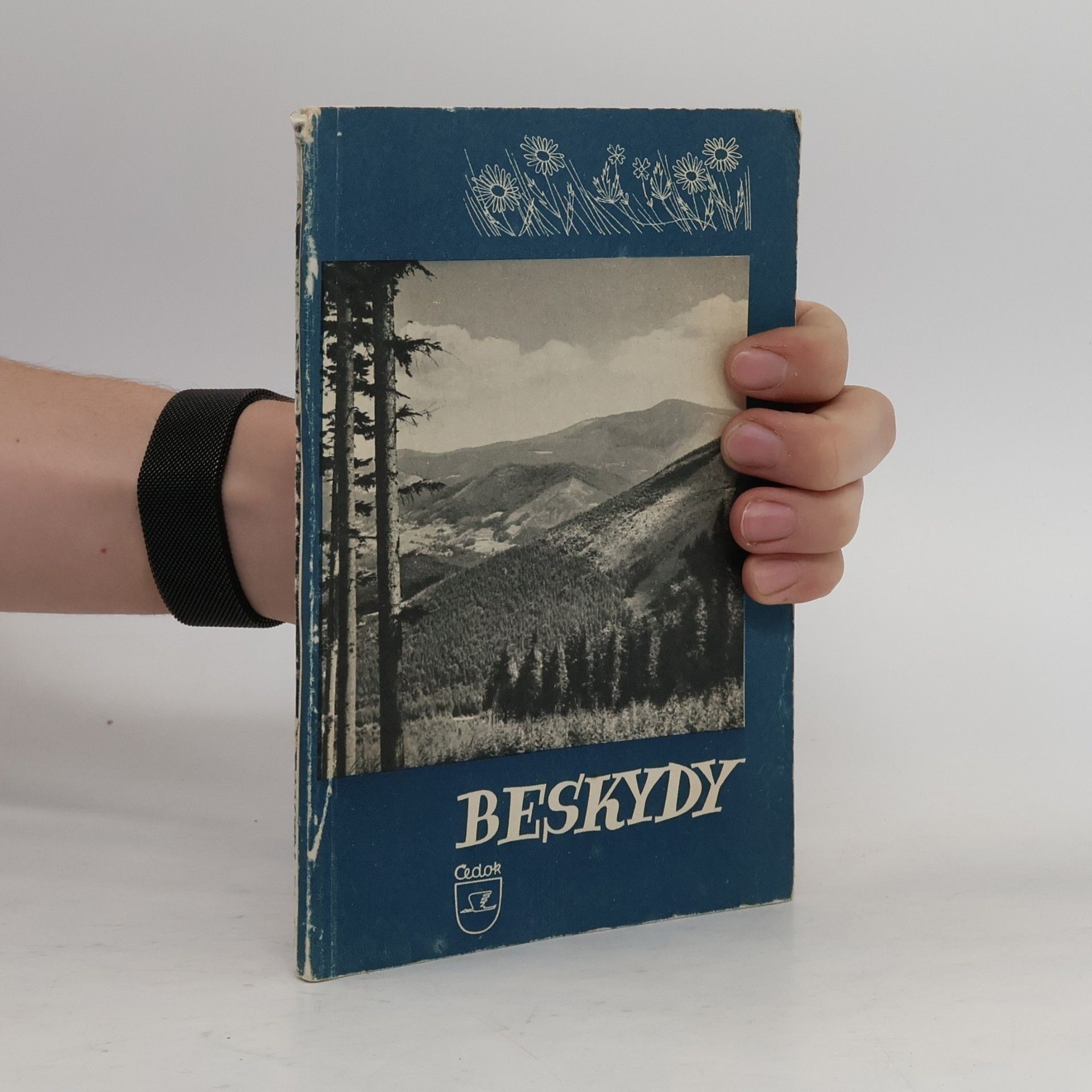 Beskydy