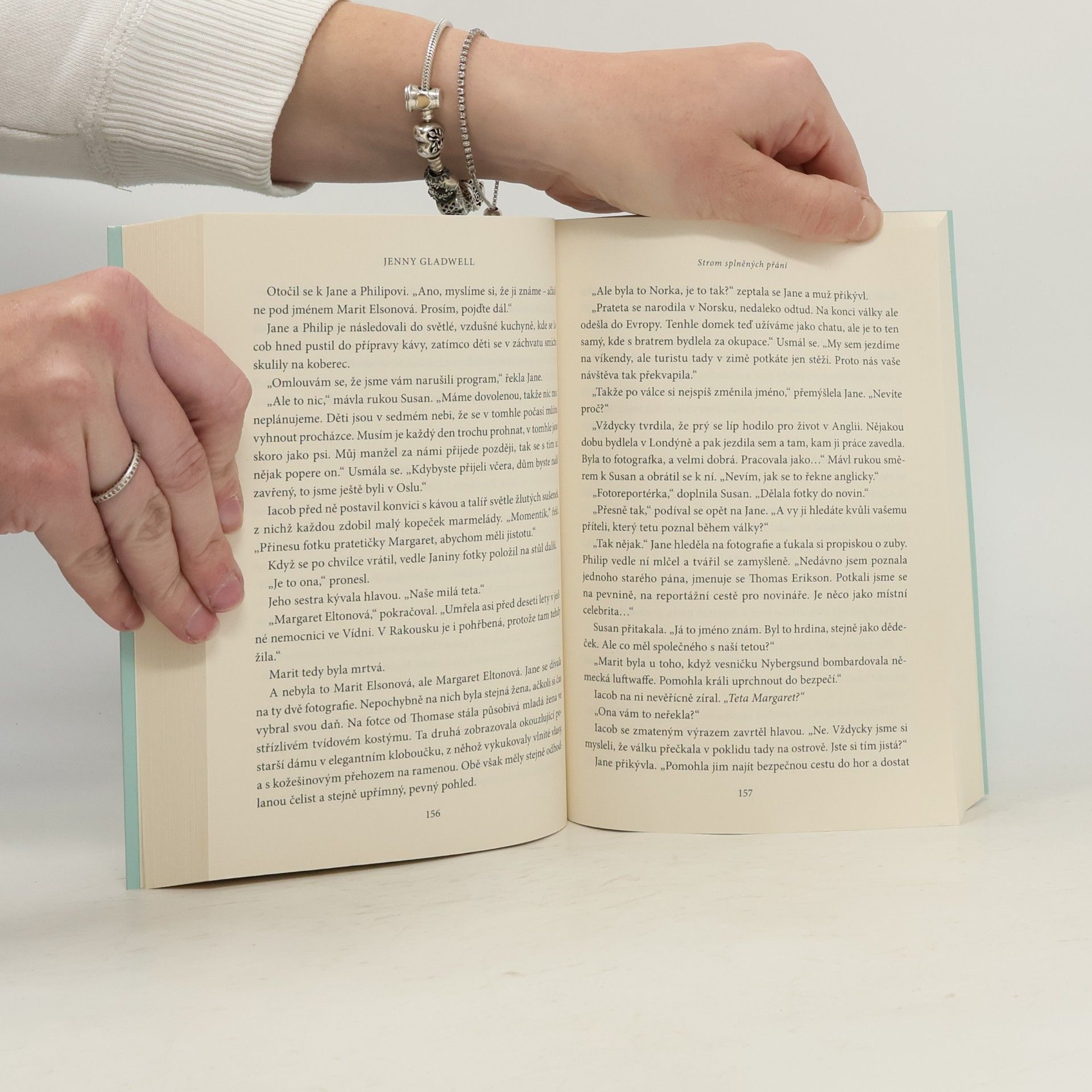 Jenny Gladwell Strom splněných přání