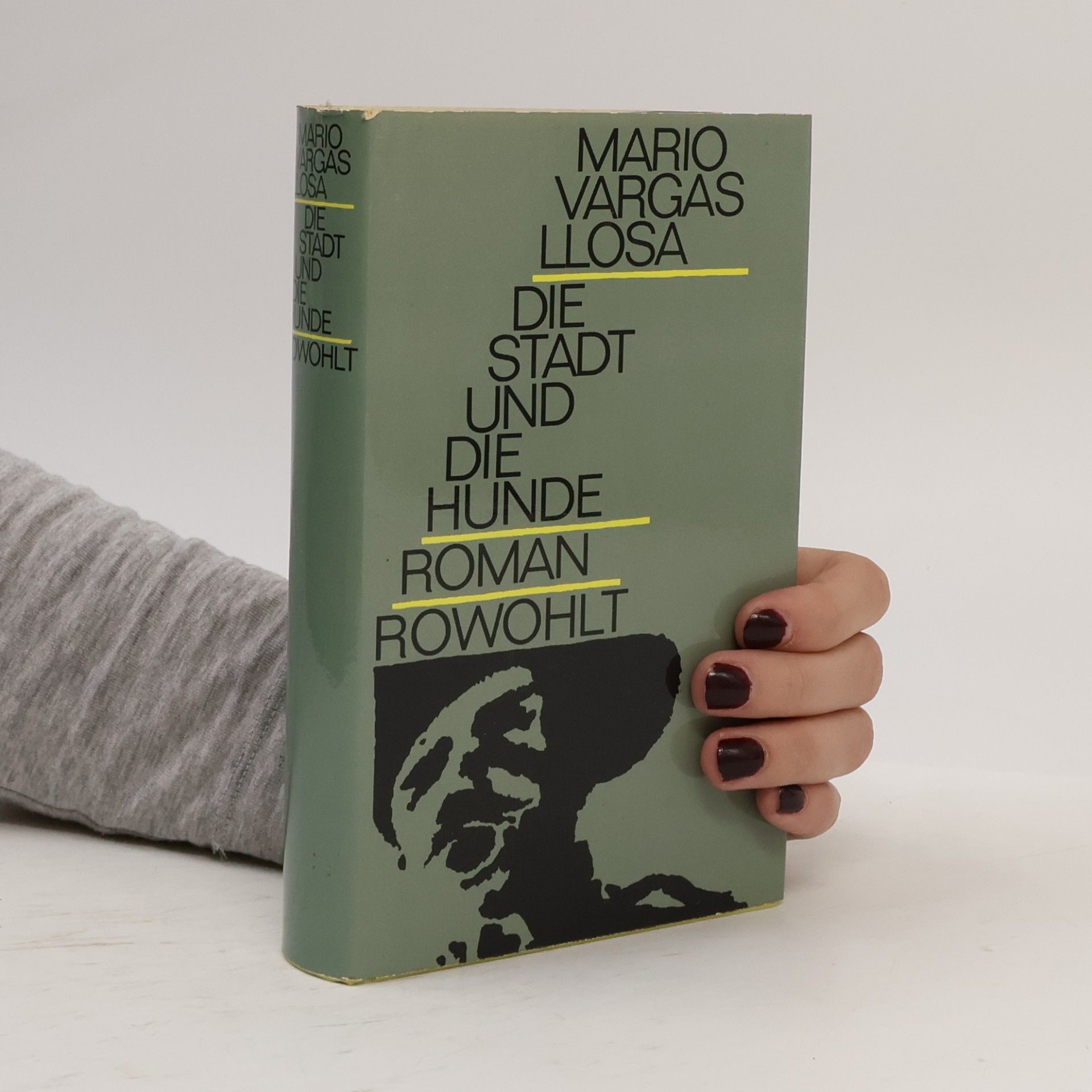 Mario Vargas Llosa Die Stadt und die Hunde