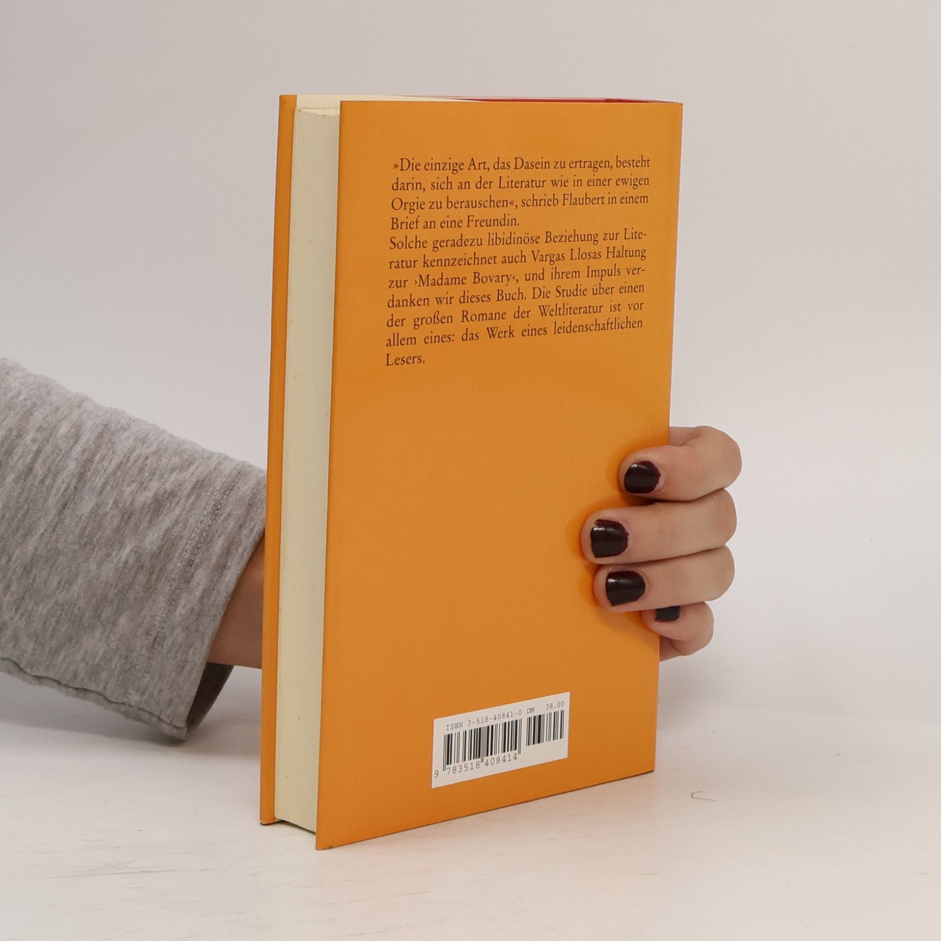 Mario Vargas Llosa Flaubert und »Madame Bovary«. Die ewige Orgie