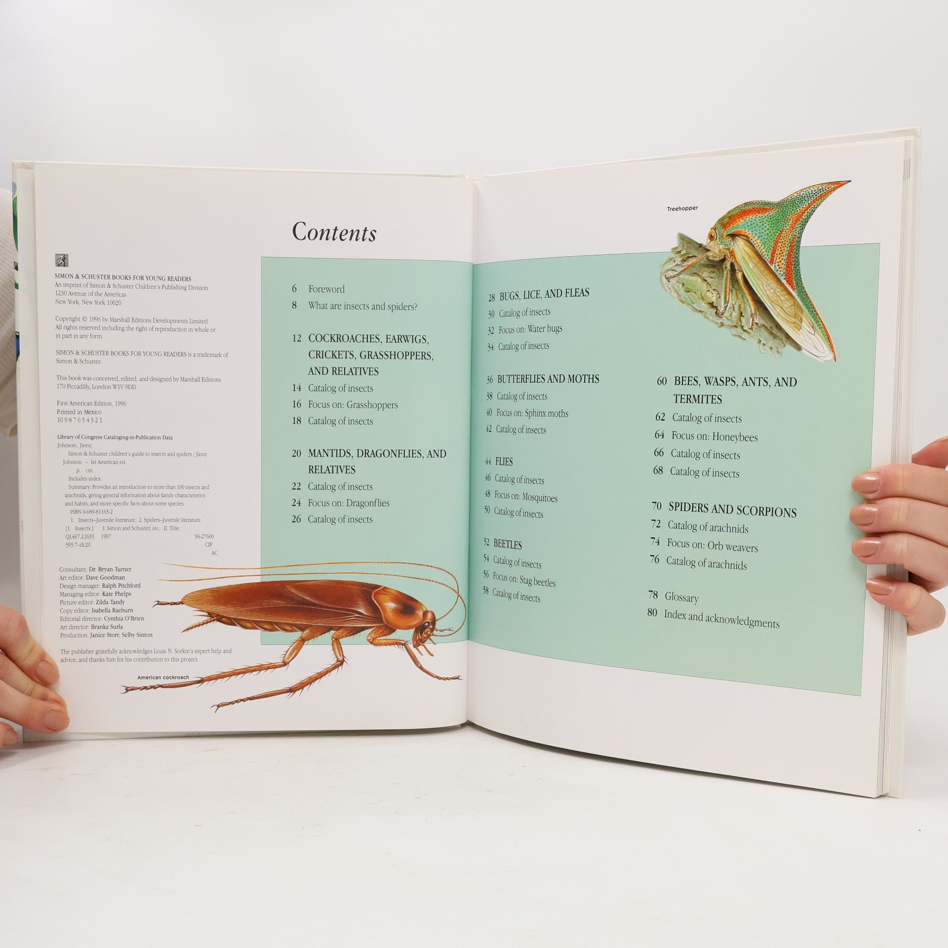 Jinny Johnson Simon & Schuster Children's Guide to Insects and Spiders