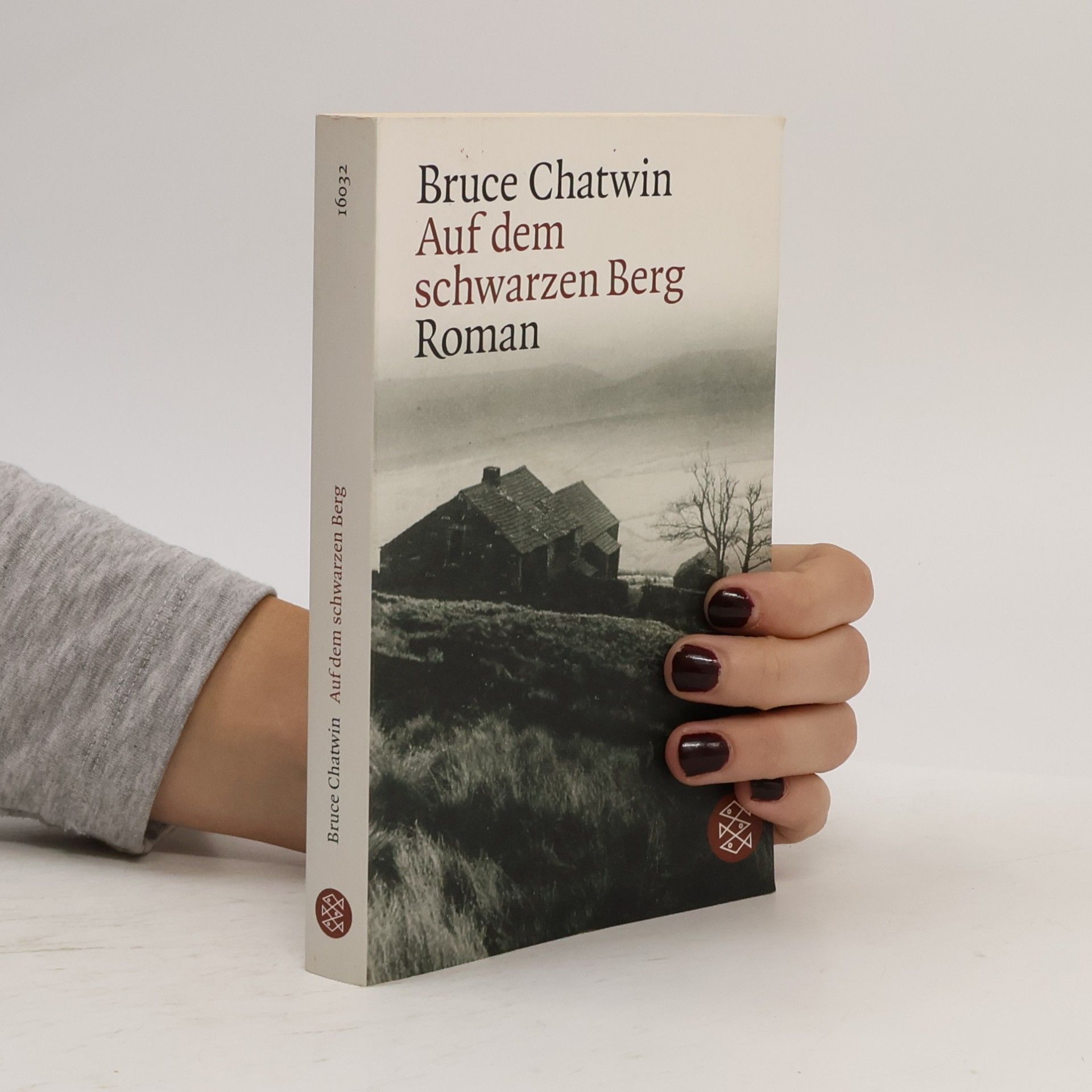 Bruce Chatwin Auf dem schwarzen Berg