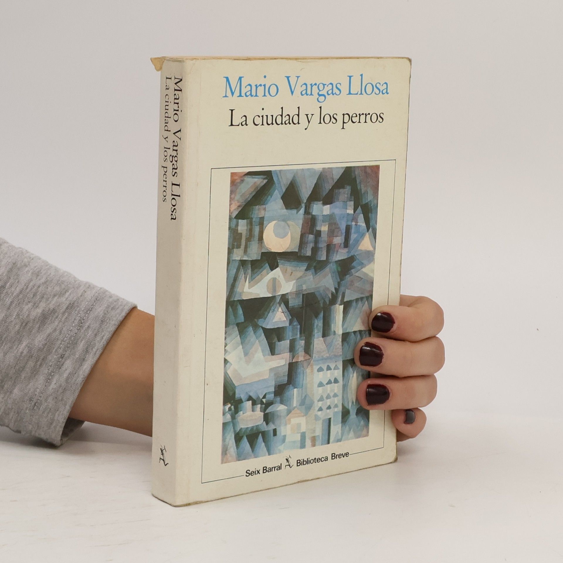 La ciudad y los perros