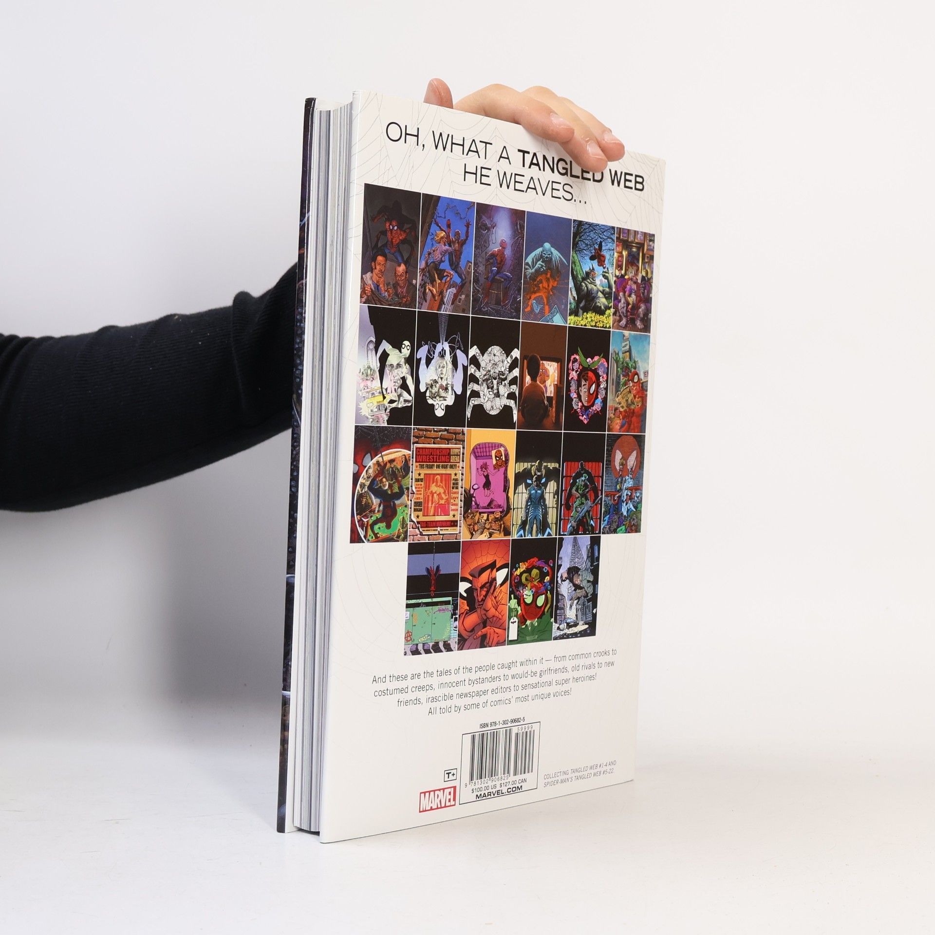 Garth Ennis Marvel Omnibus - 2: Spider-Man's Tangled Web Omnibus