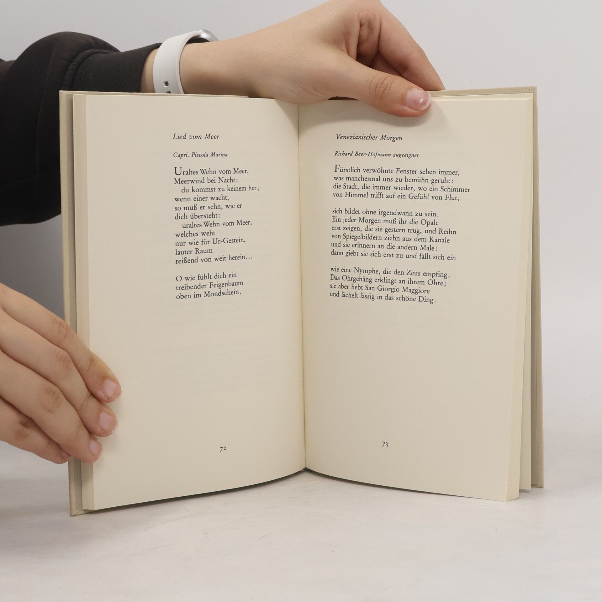 Rainer Maria Rilke Neunzig Gedichte