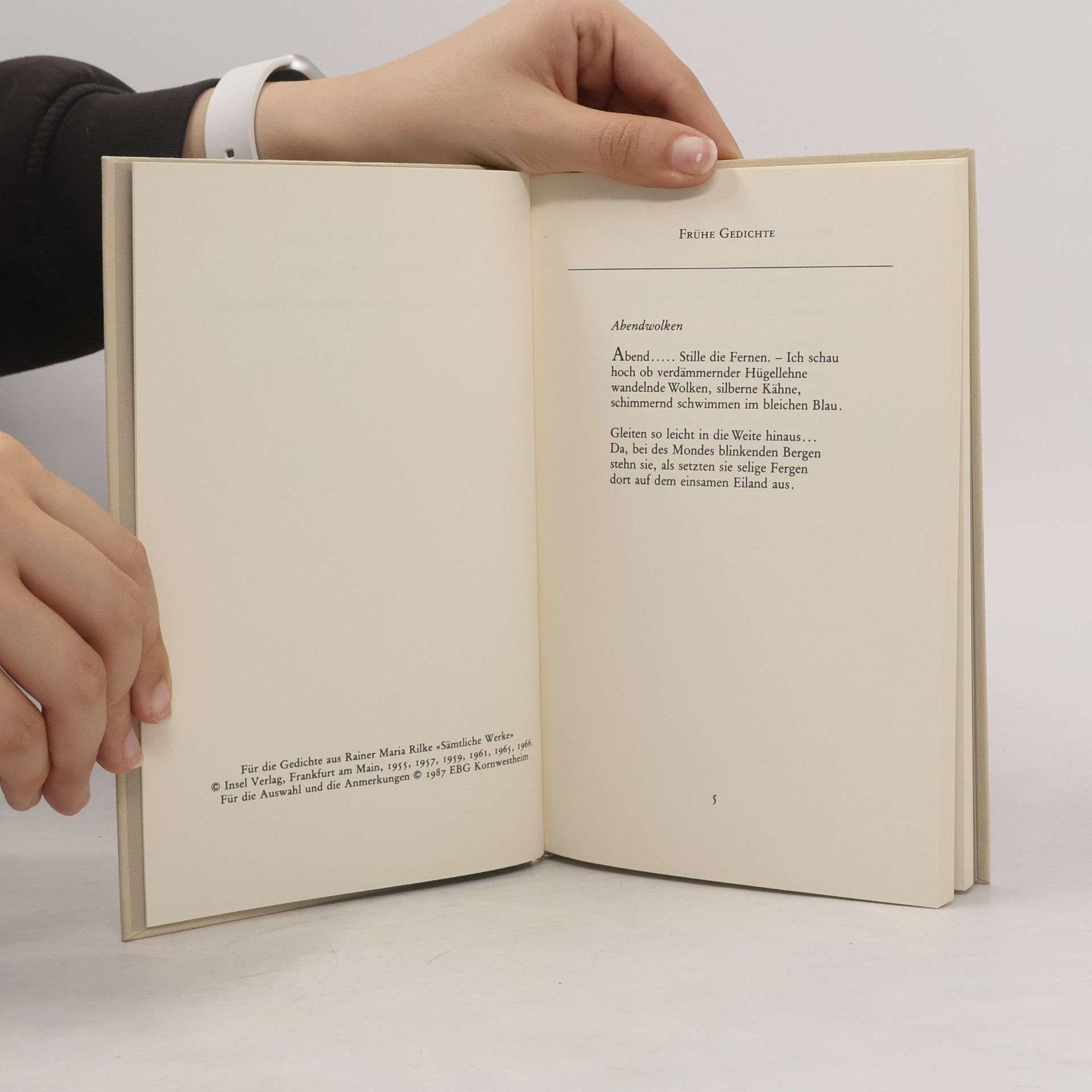 Rainer Maria Rilke Neunzig Gedichte