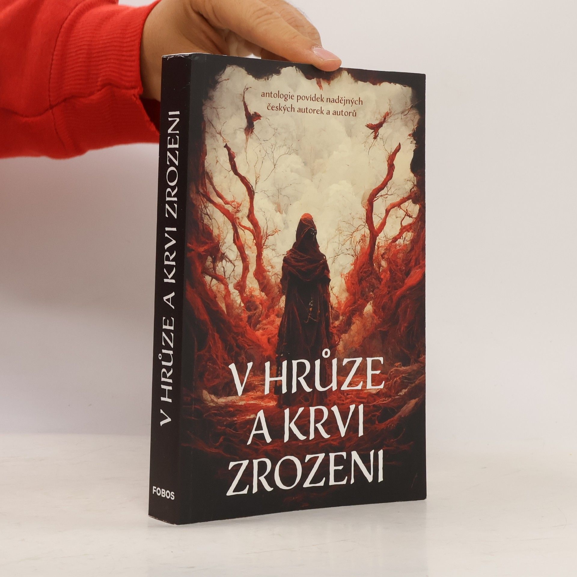 Autorenkollektiv V hrůze a krvi zrozeni