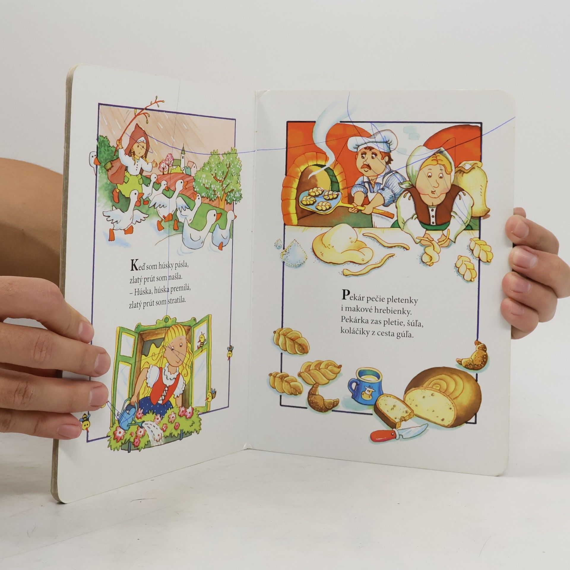 Autorenkollektiv Riekanky. Mačka lezie dierou