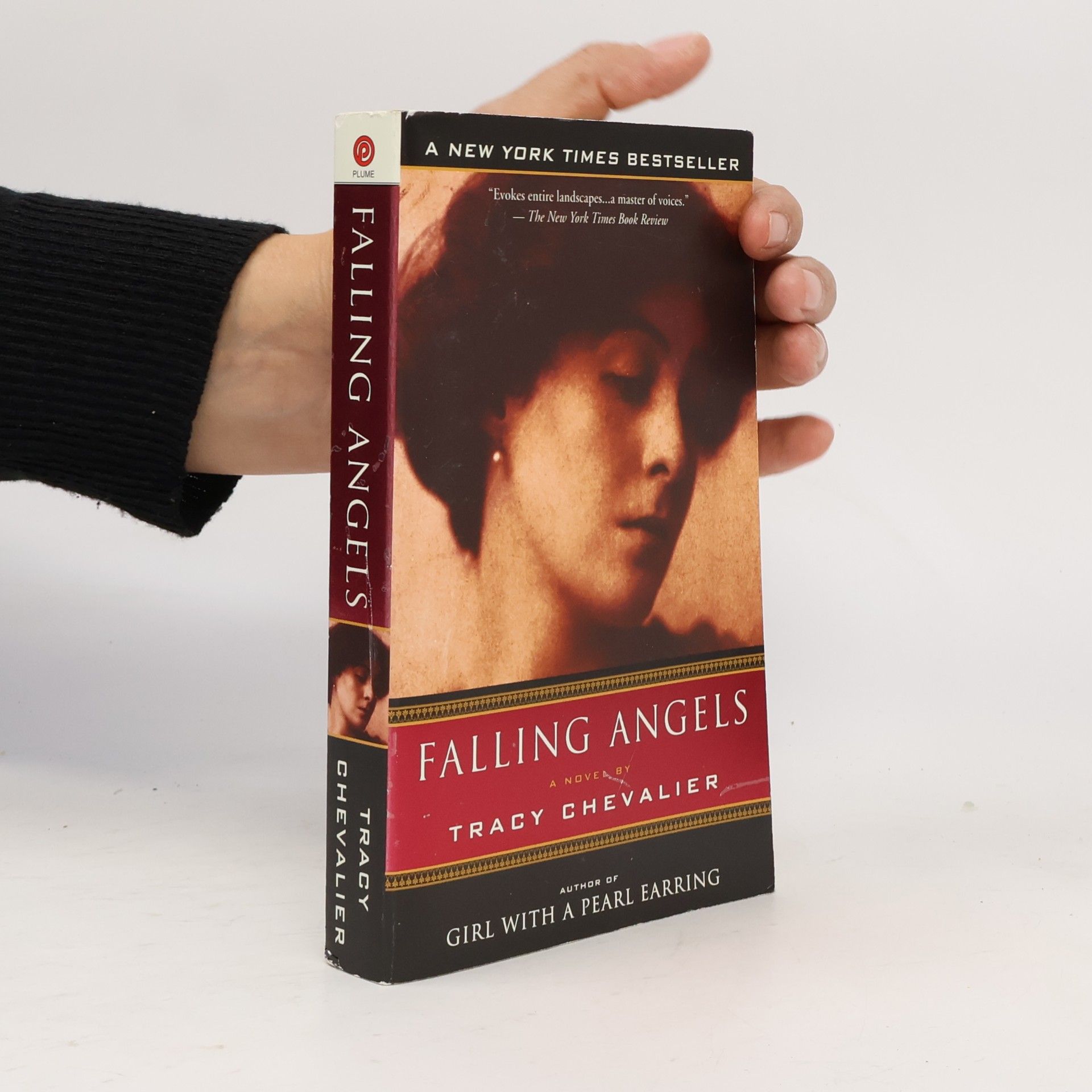Tracy Chevalier Falling Angels