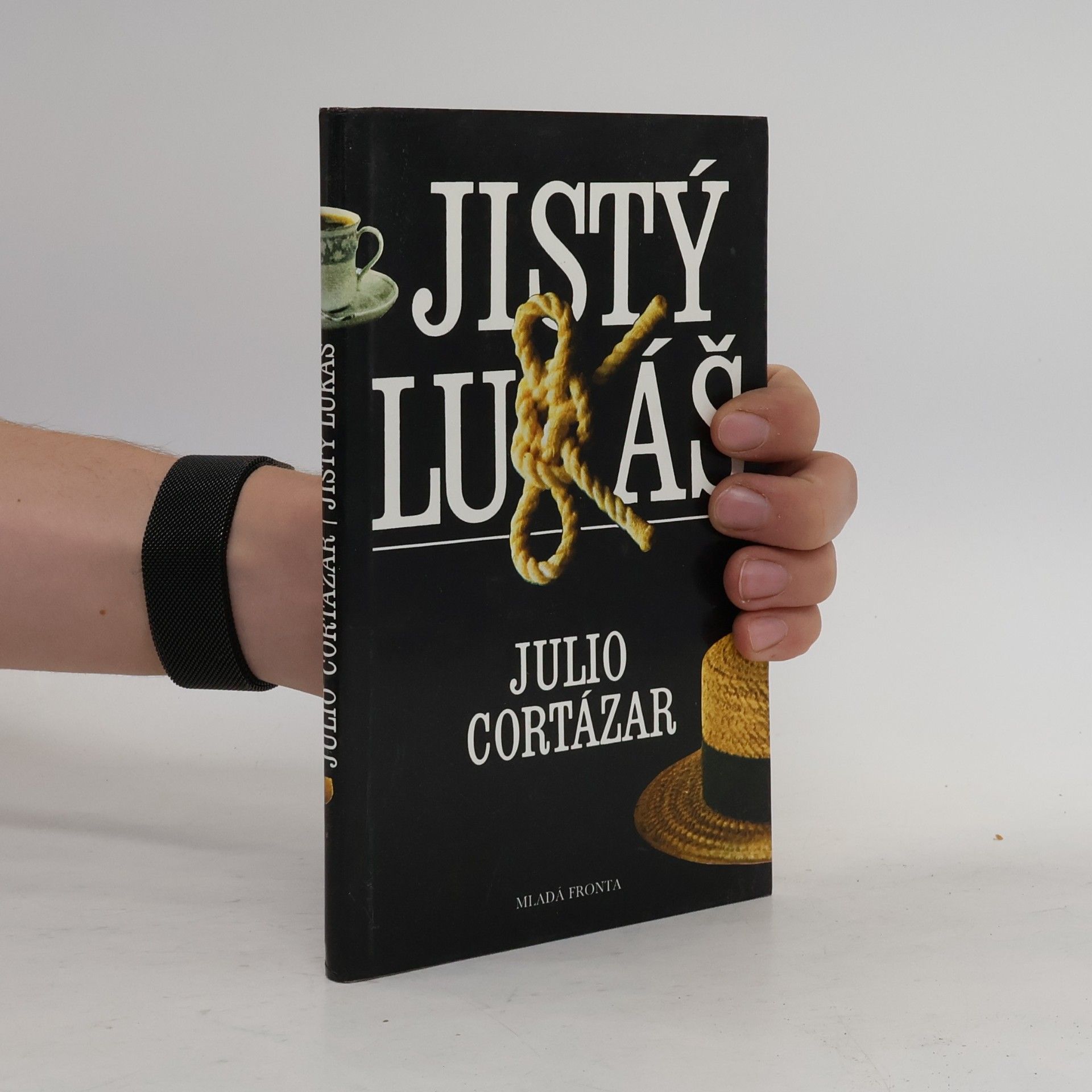 Julio Cortázar Jistý Lukáš