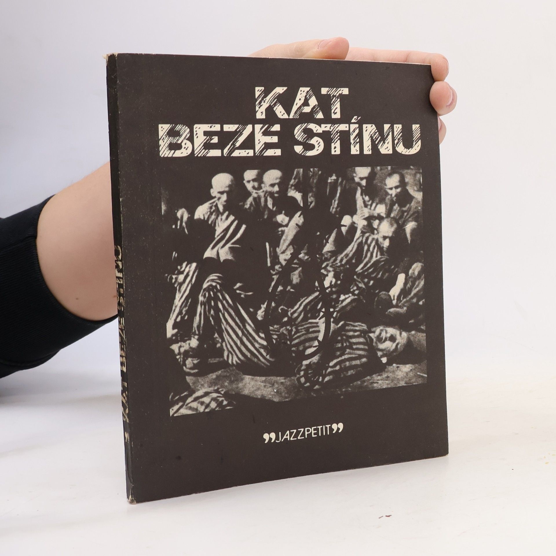 Kat beze stínu