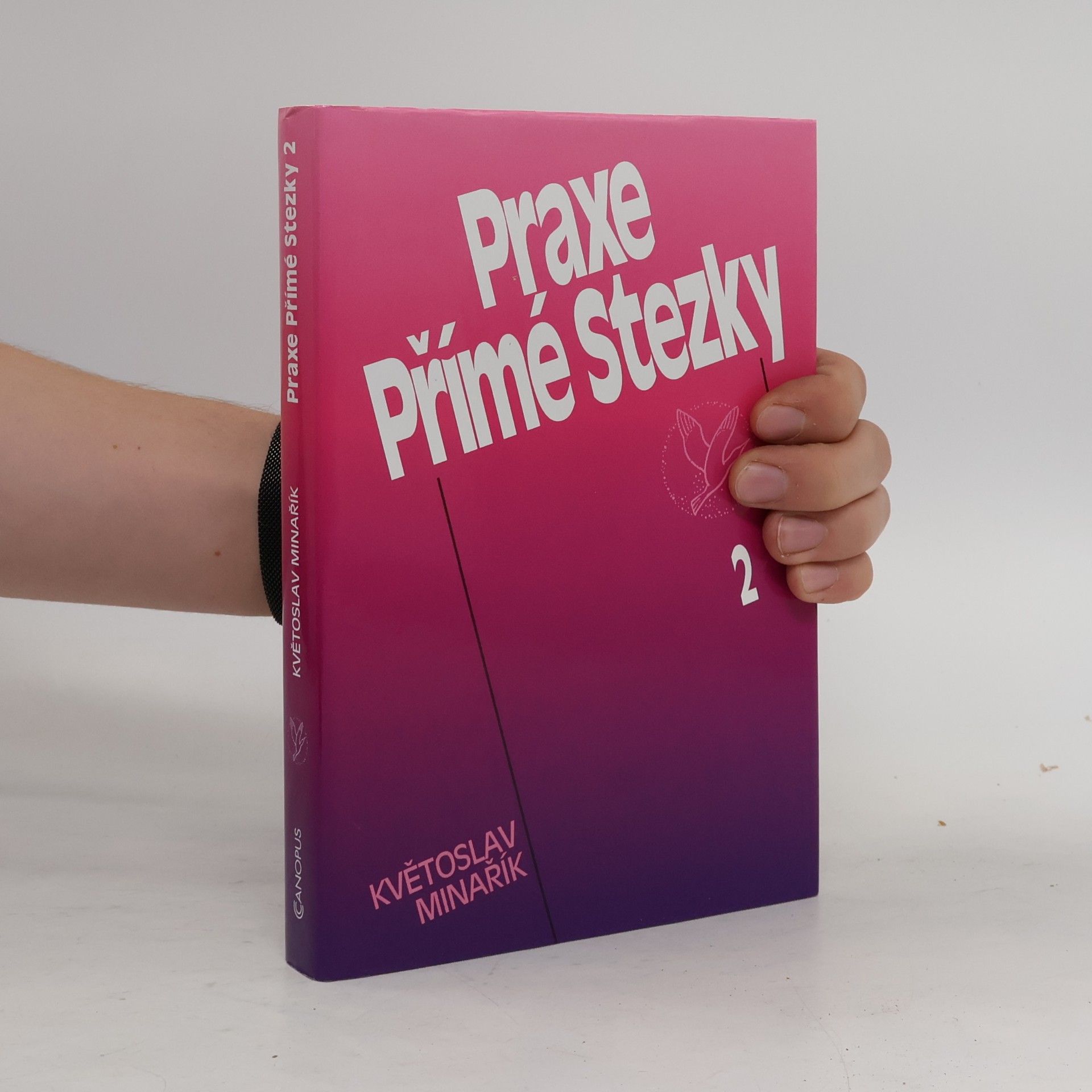 Praxe Přímé Stezky 2