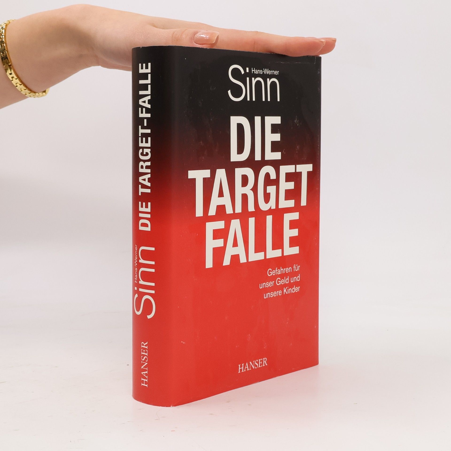 Werner Sinn Die Target Falle