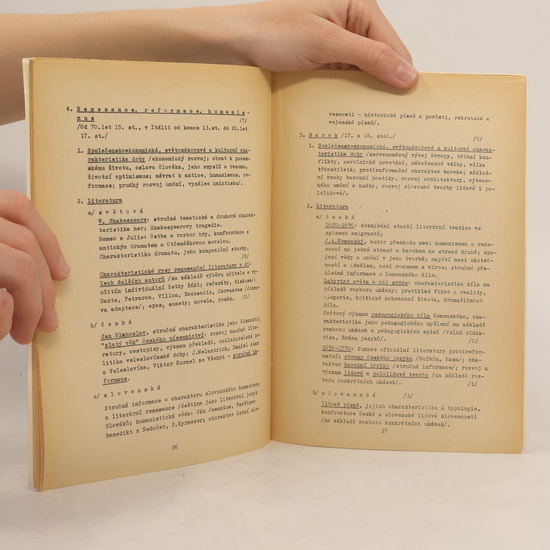 kolektiv Český jazyk a literatura