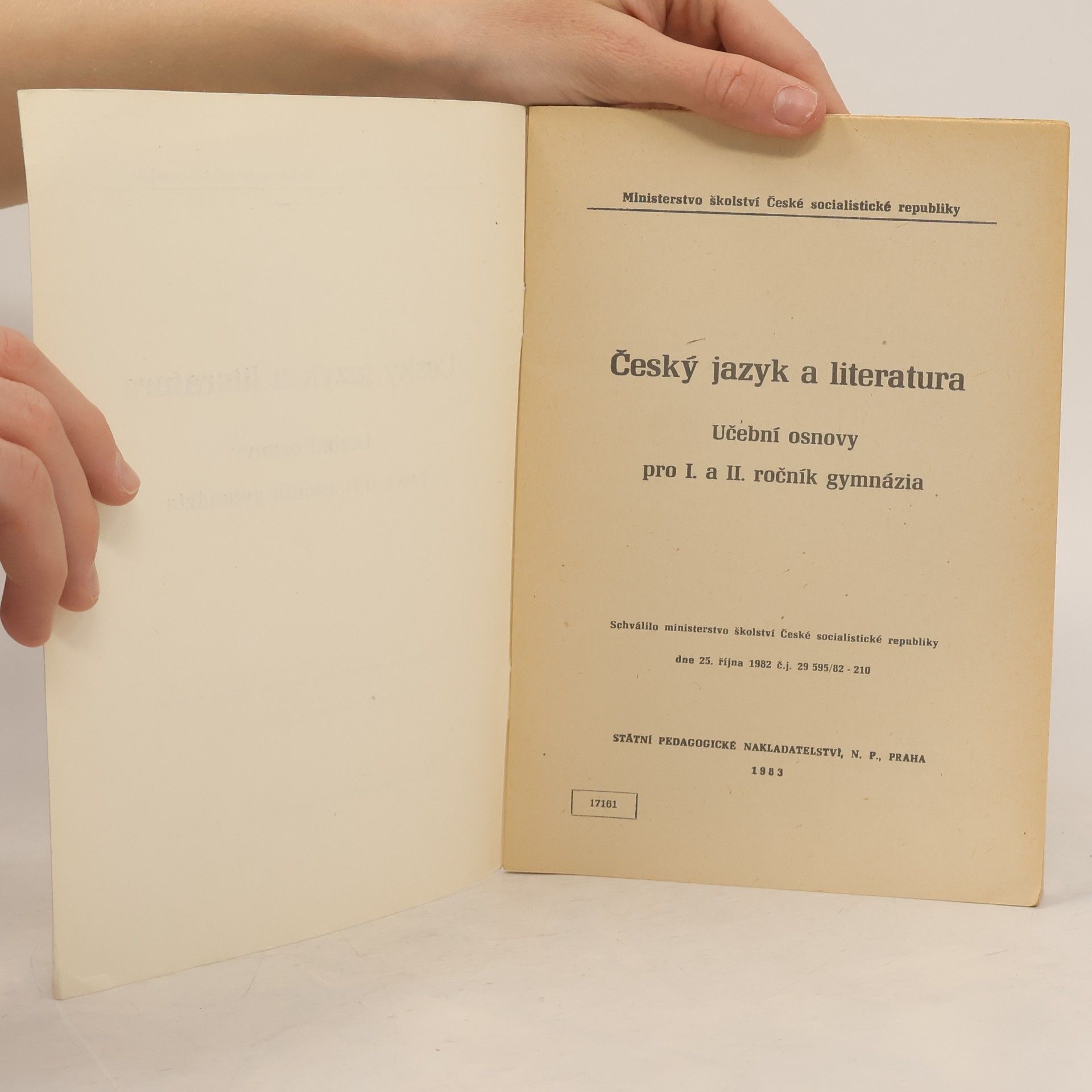 kolektiv Český jazyk a literatura