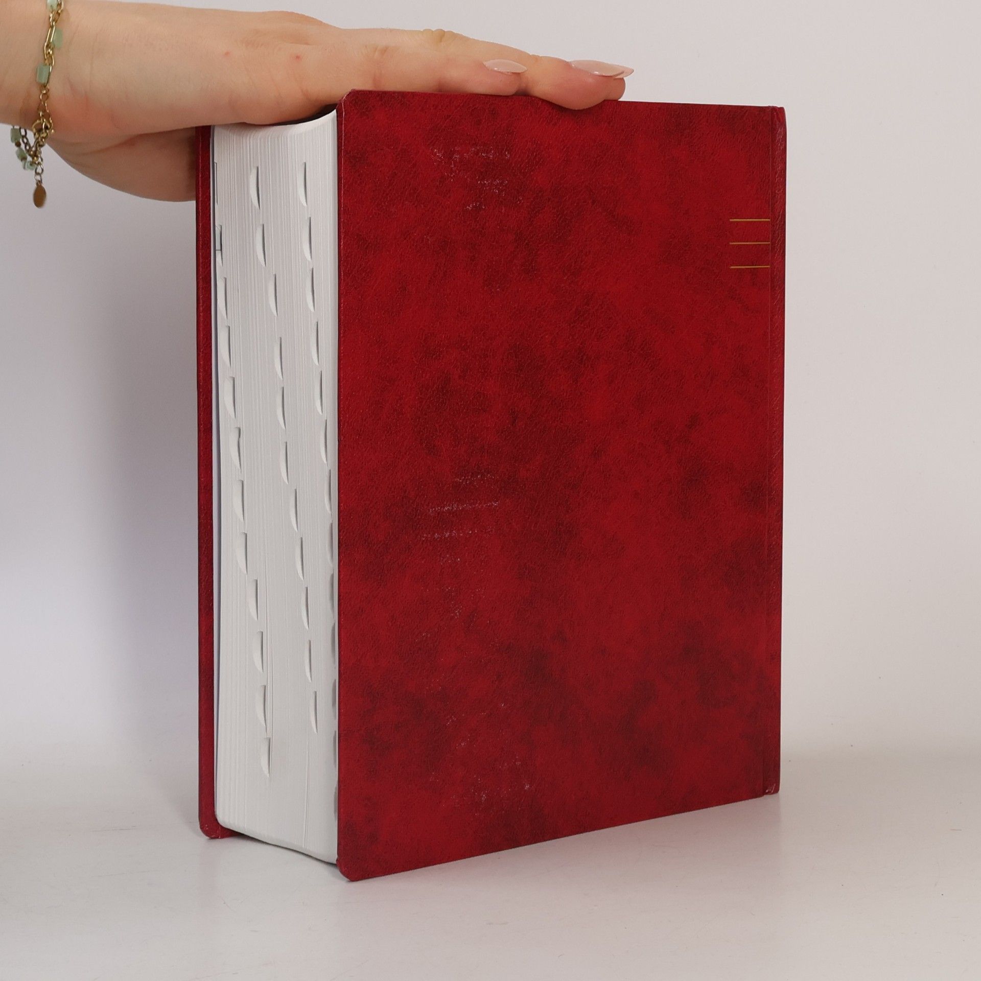 Autorenkollektiv Jeruzalémská Bible