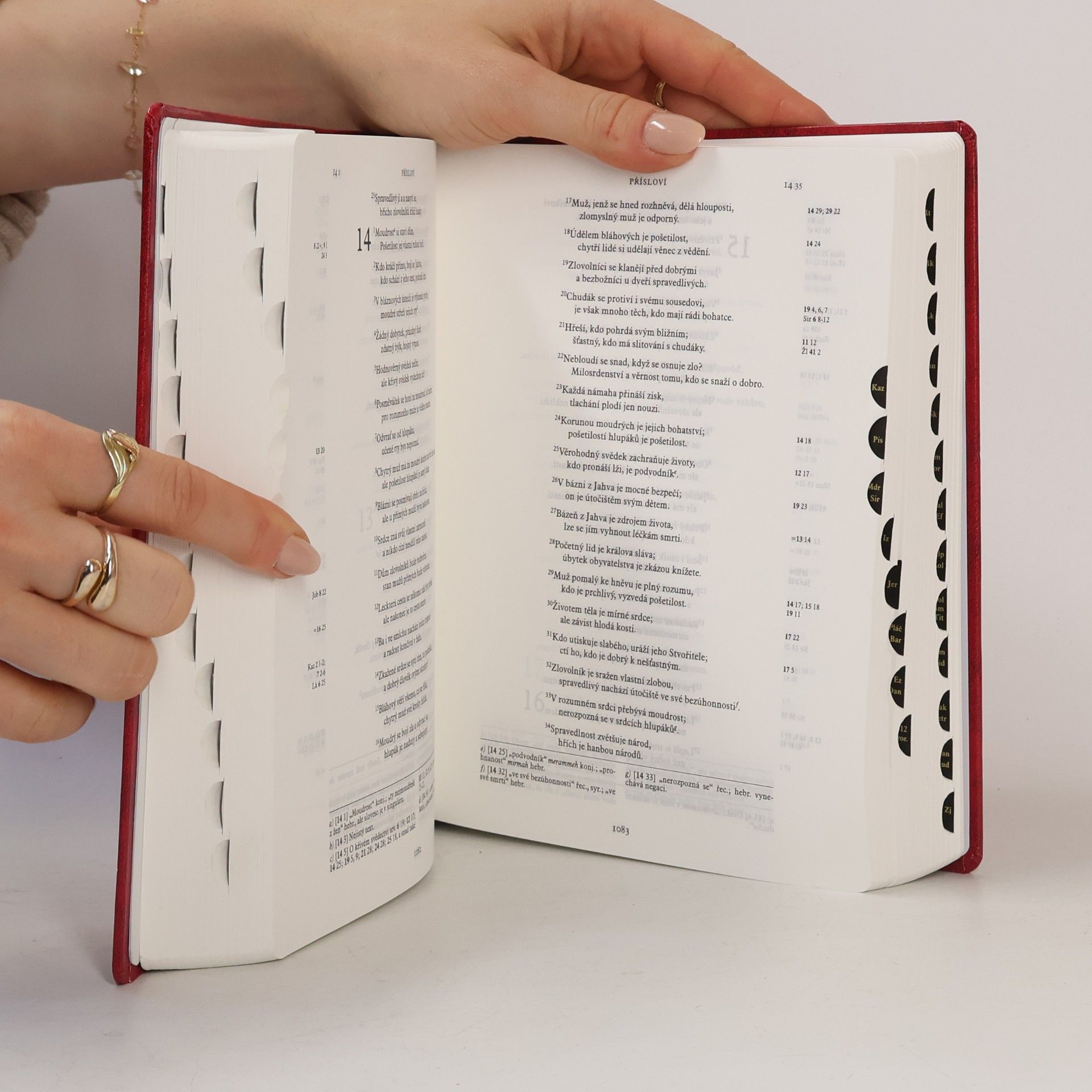 Autorenkollektiv Jeruzalémská Bible