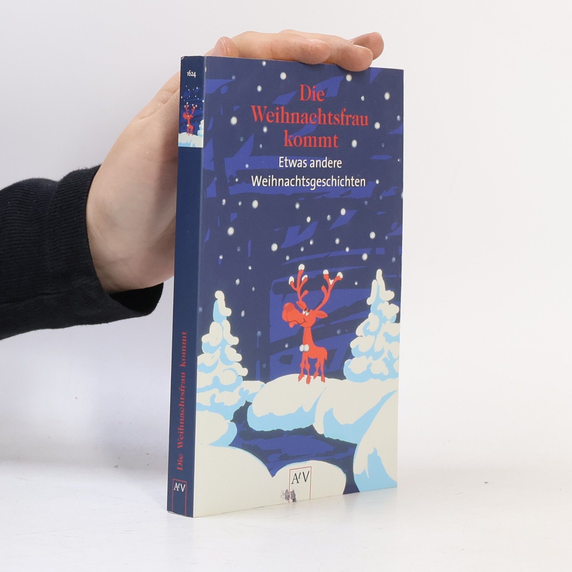 Michaela Rohn Die Weihnachtsfrau kommt