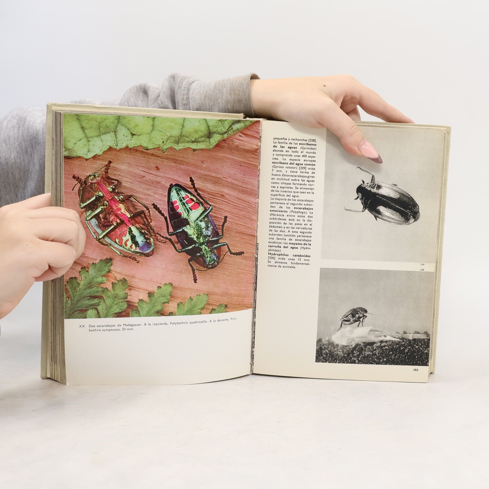 V. J. Stanek Gran enciclopedia ilustrada de los insectos