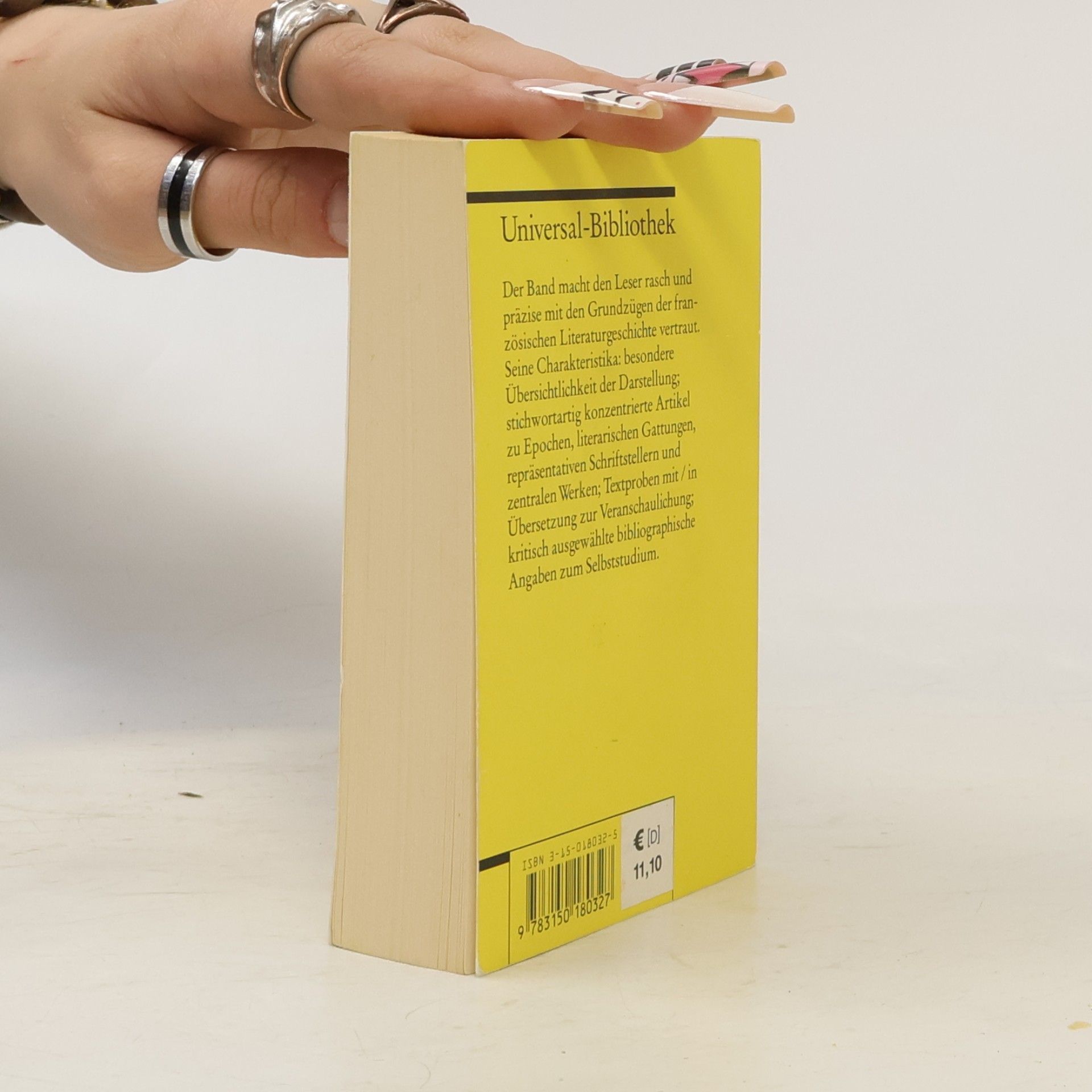 Winfried Engler Geschichte der französischen Literatur im Überblick