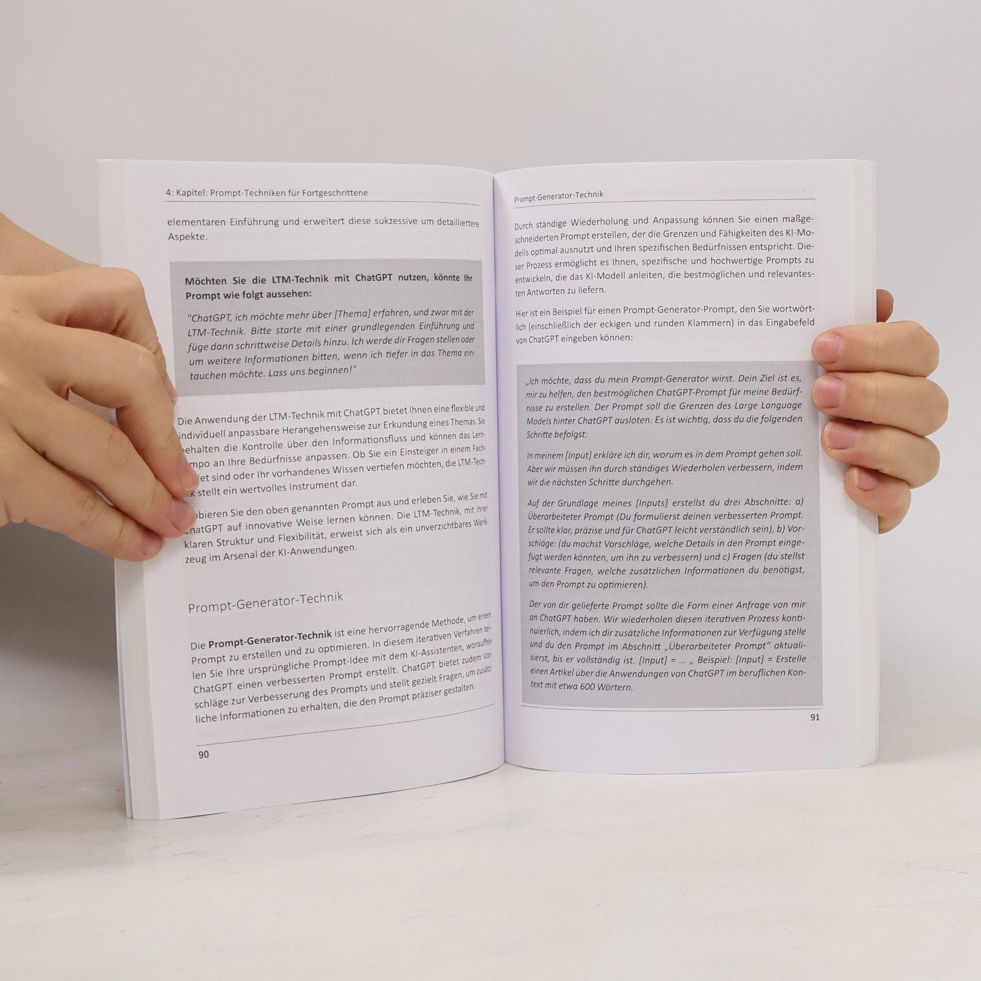 Martina Brakemeier Das ChatGPT Powerhandbuch