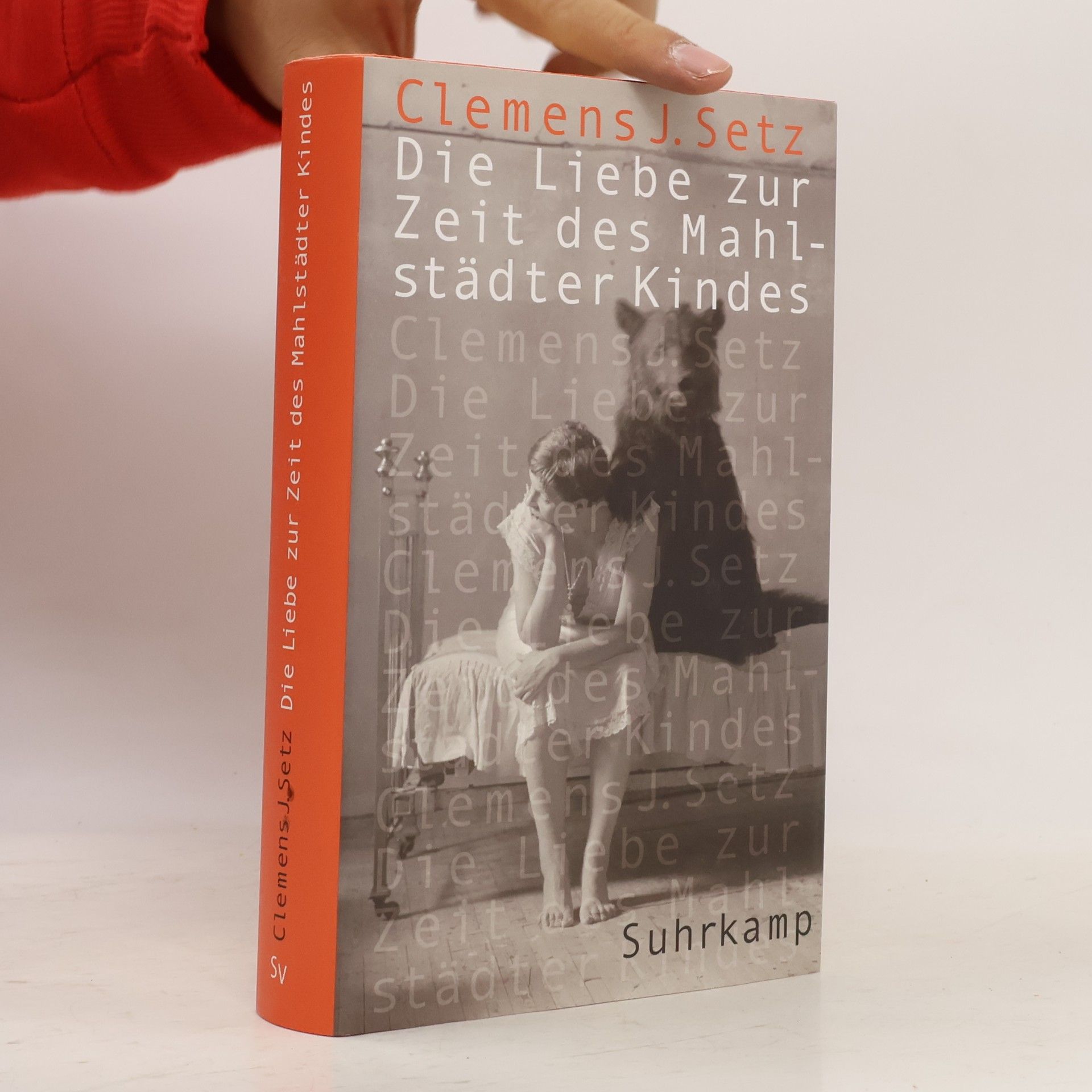 Clemens J. Setz Die Liebe zur Zeit des Mahlstädter Kindes