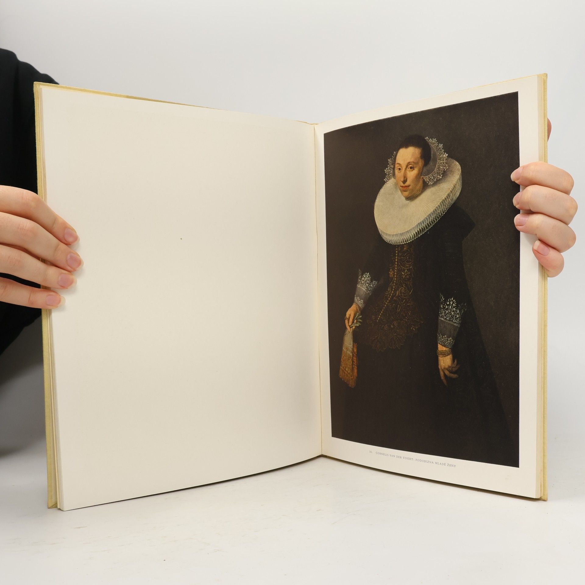 Jaromír Šíp Mistři holandské malby XVII. století
