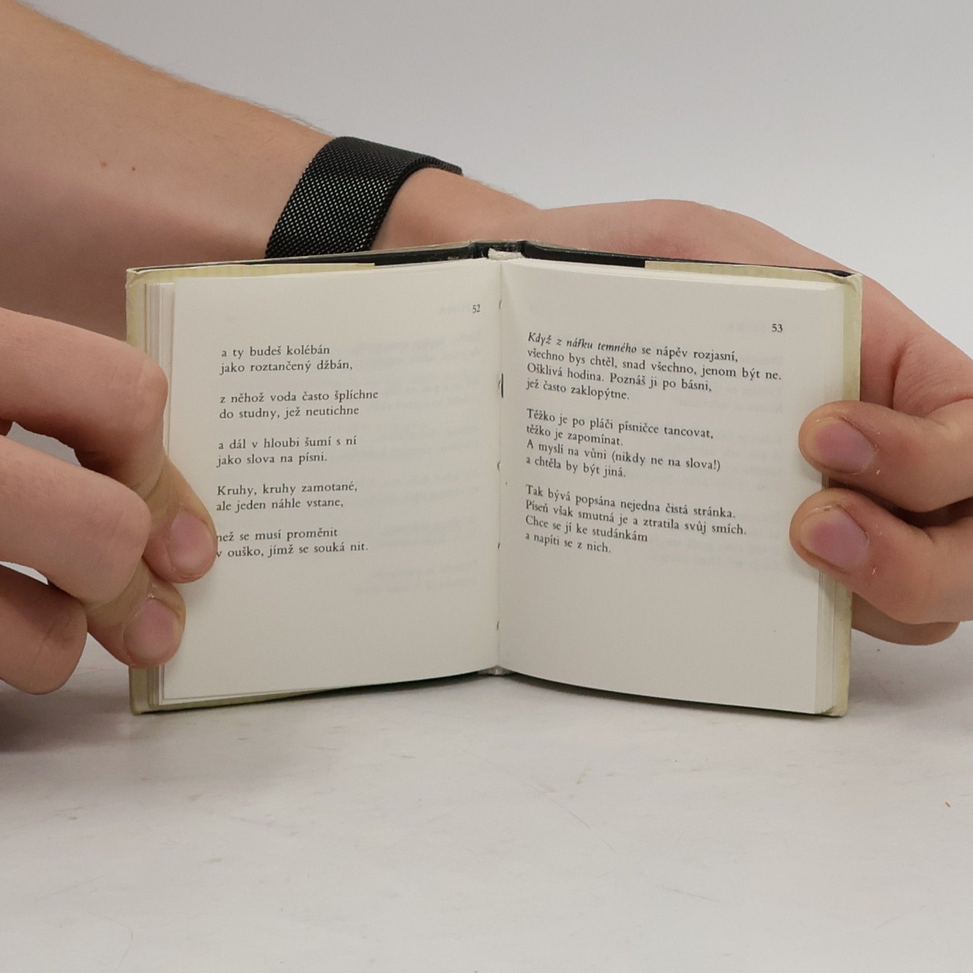Jiří Orten Červený obraz. Výbor z milostné poezie