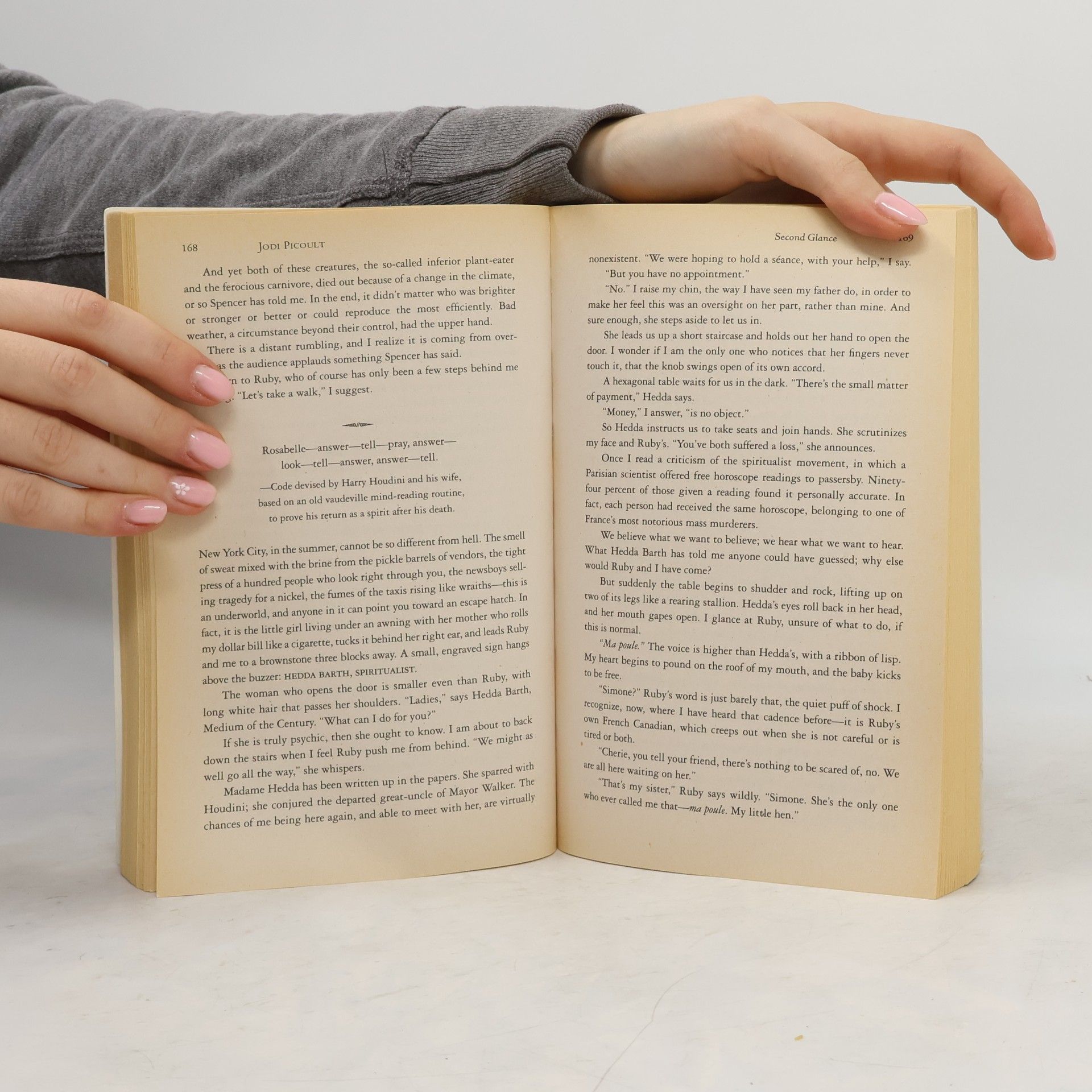 Jodi Picoult Second Glance