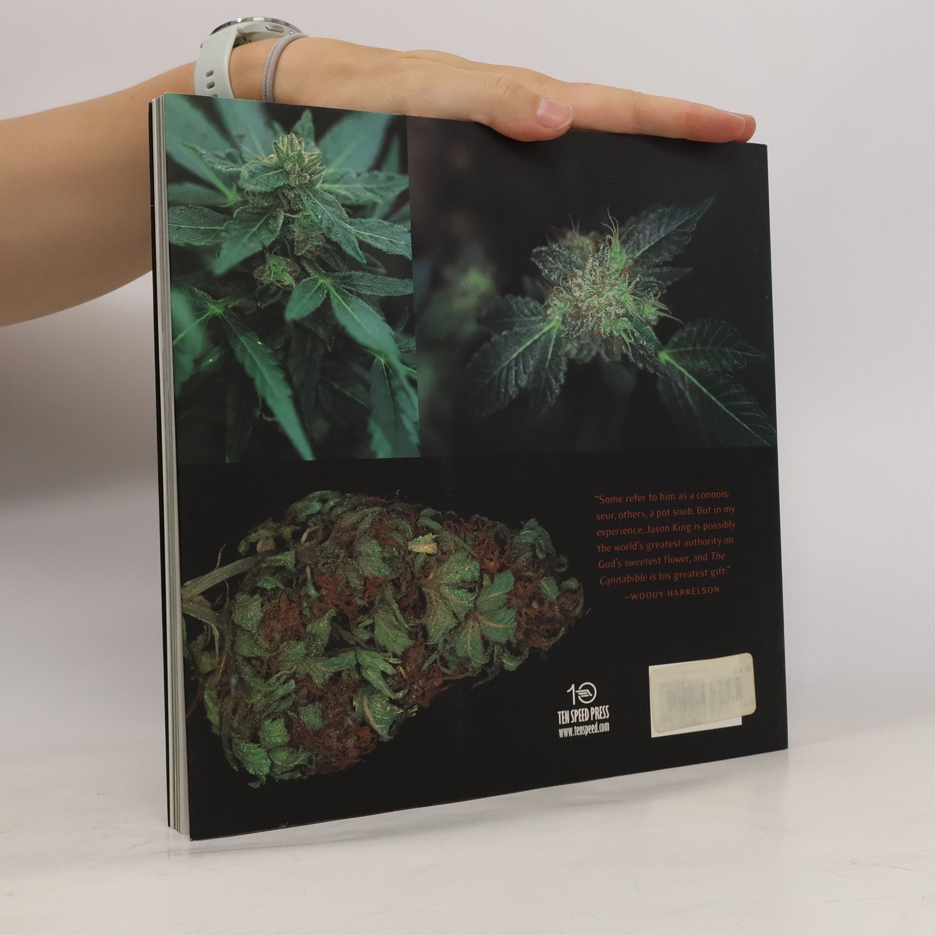 Jason King The Cannabible